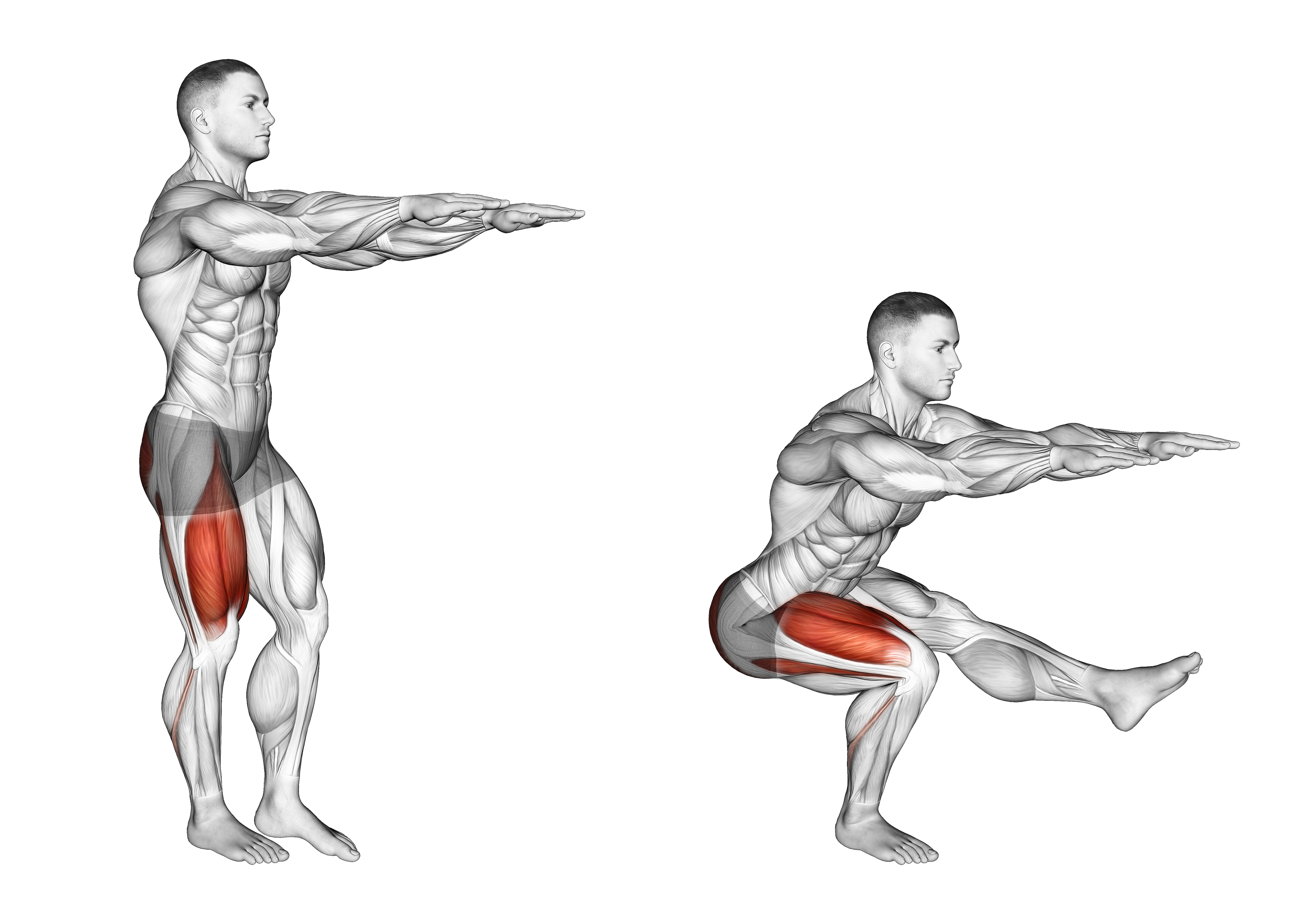 Single Leg Squat (pistol)