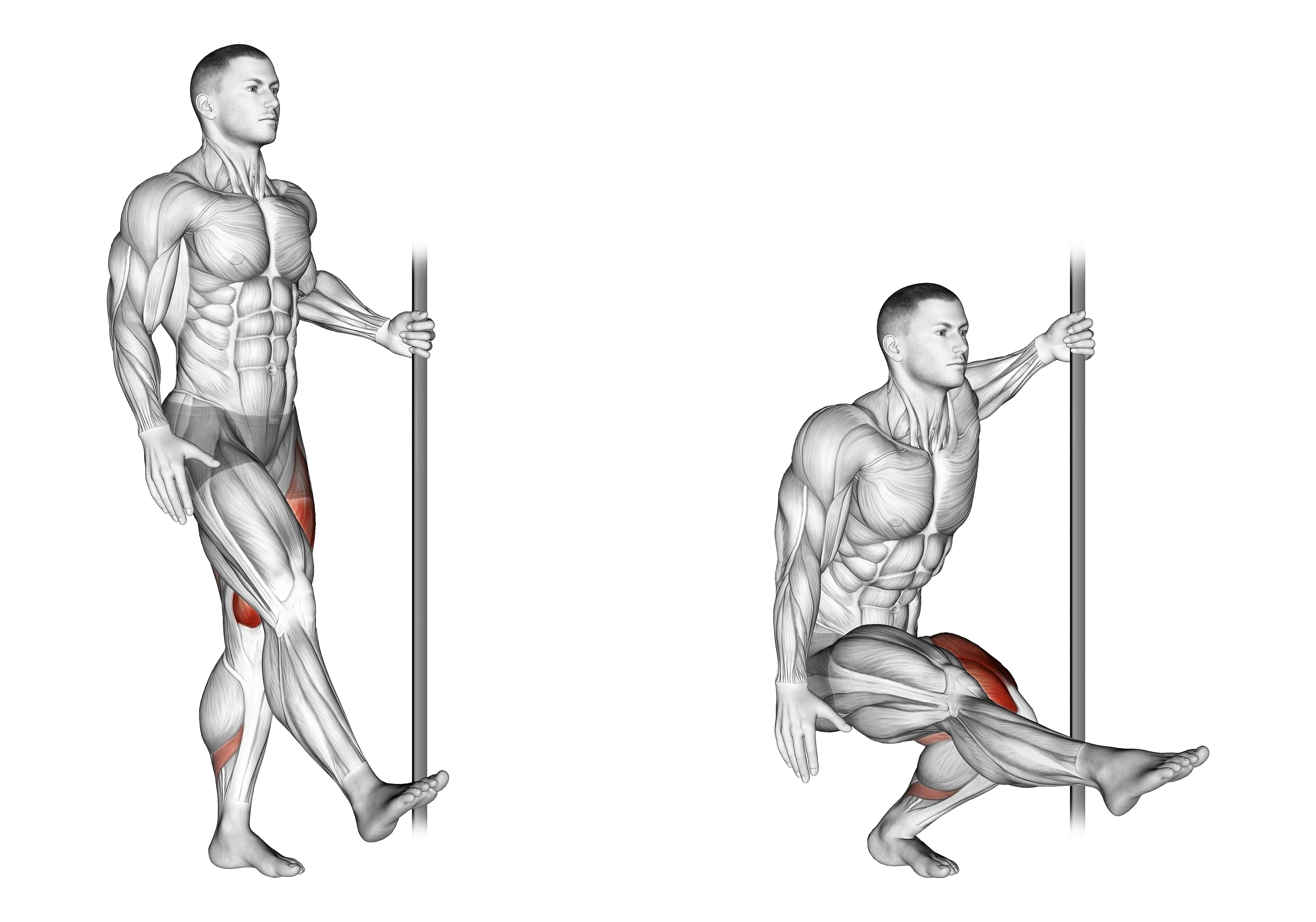 Single Leg Squat With Support (pistol)