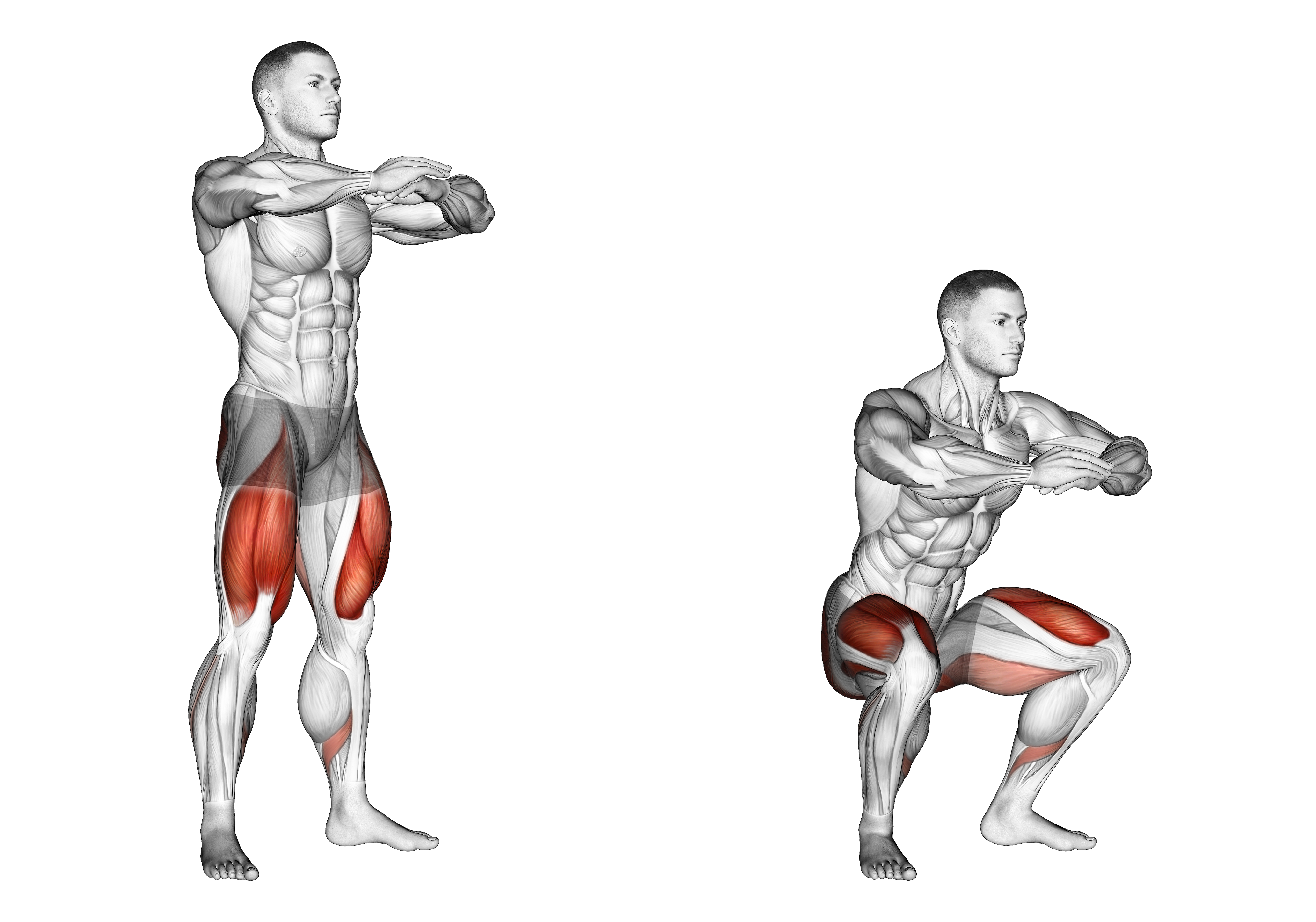 Sit Squat