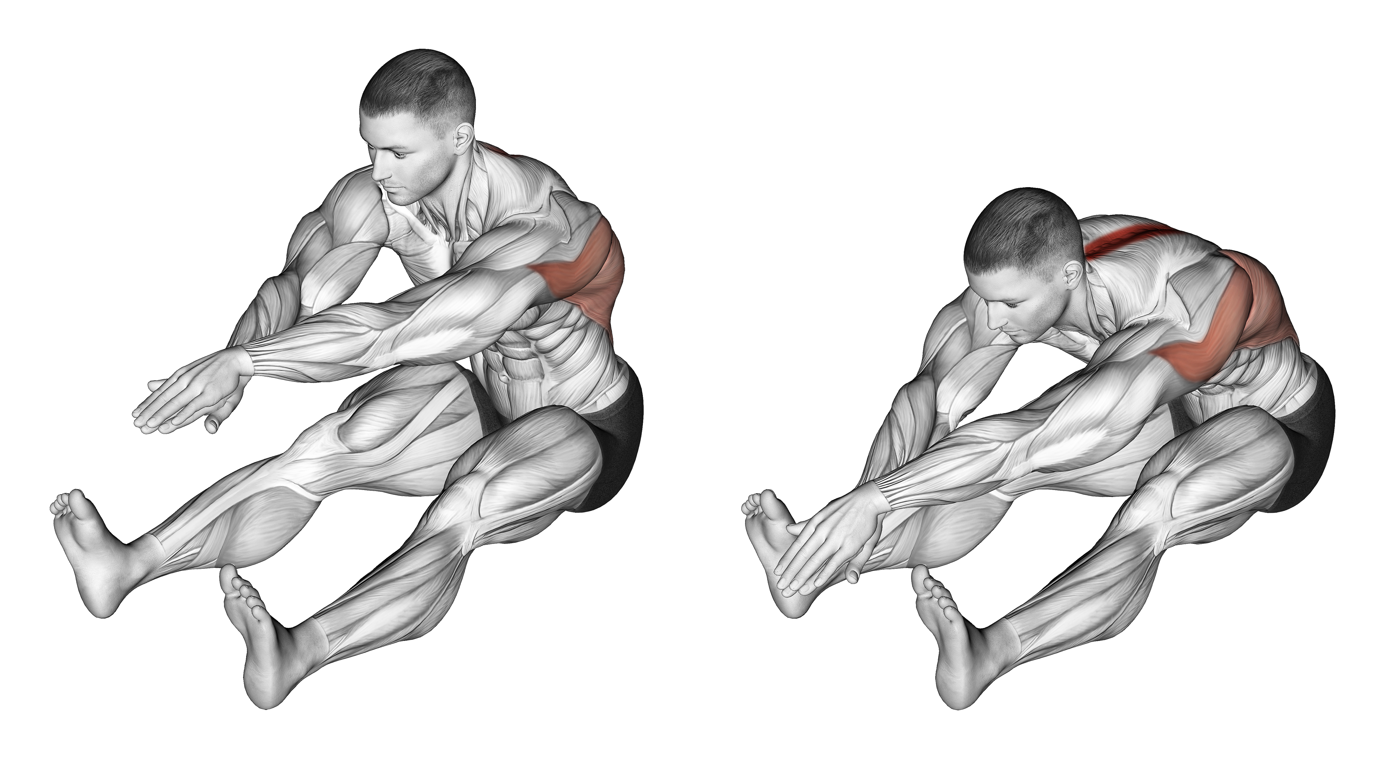 Sitting Bent Over Back Stretch Back