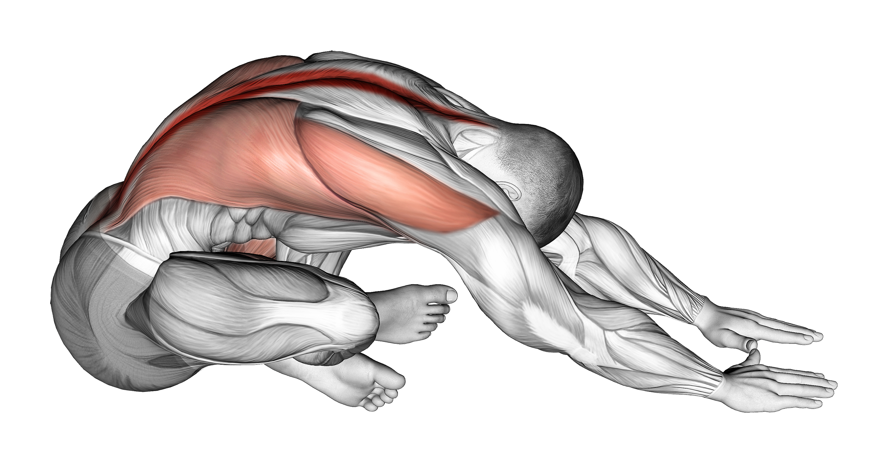 Sitting Crossed Legged Reach Forward Stretch_back