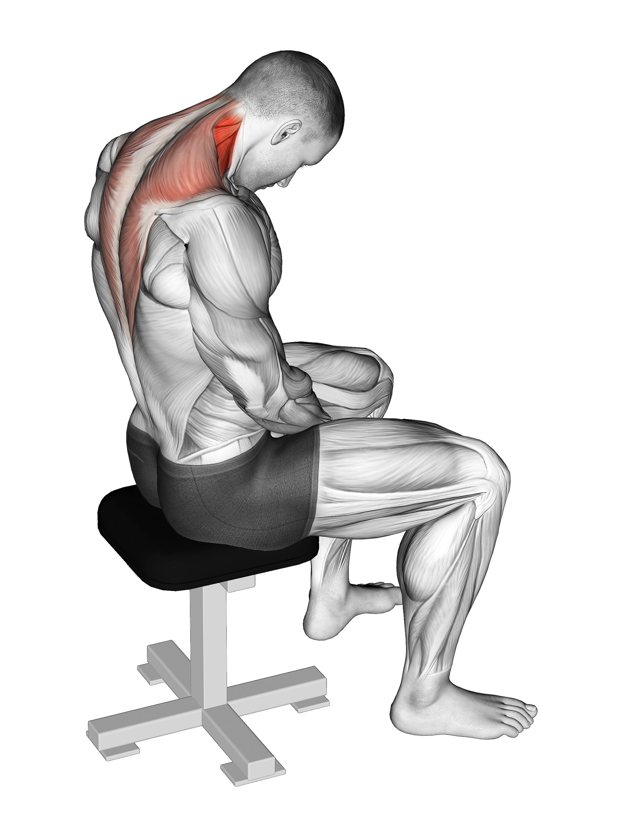 Sitting Neck Flexion Stretch