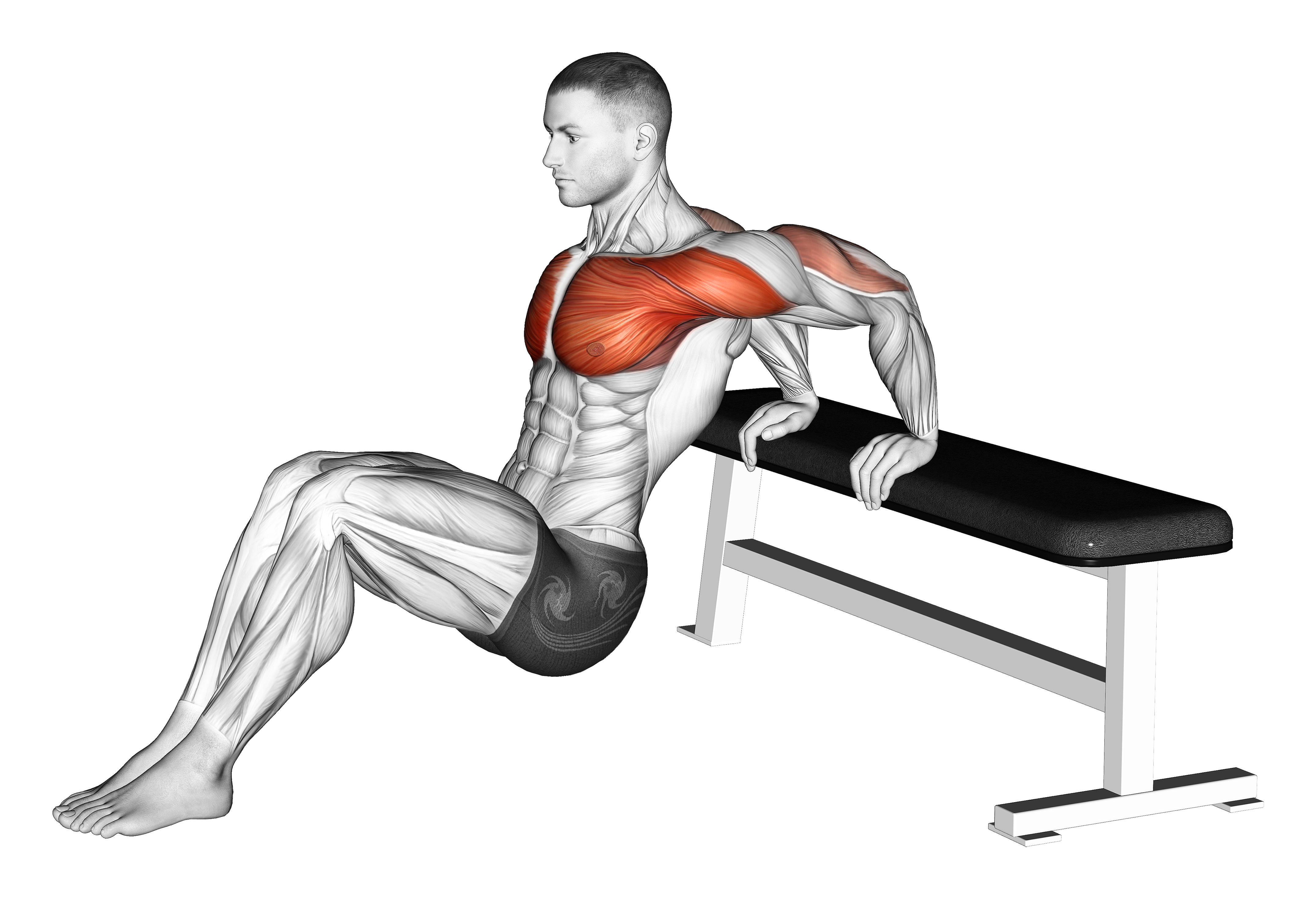 Sitting Shoulders Stretch On Bench