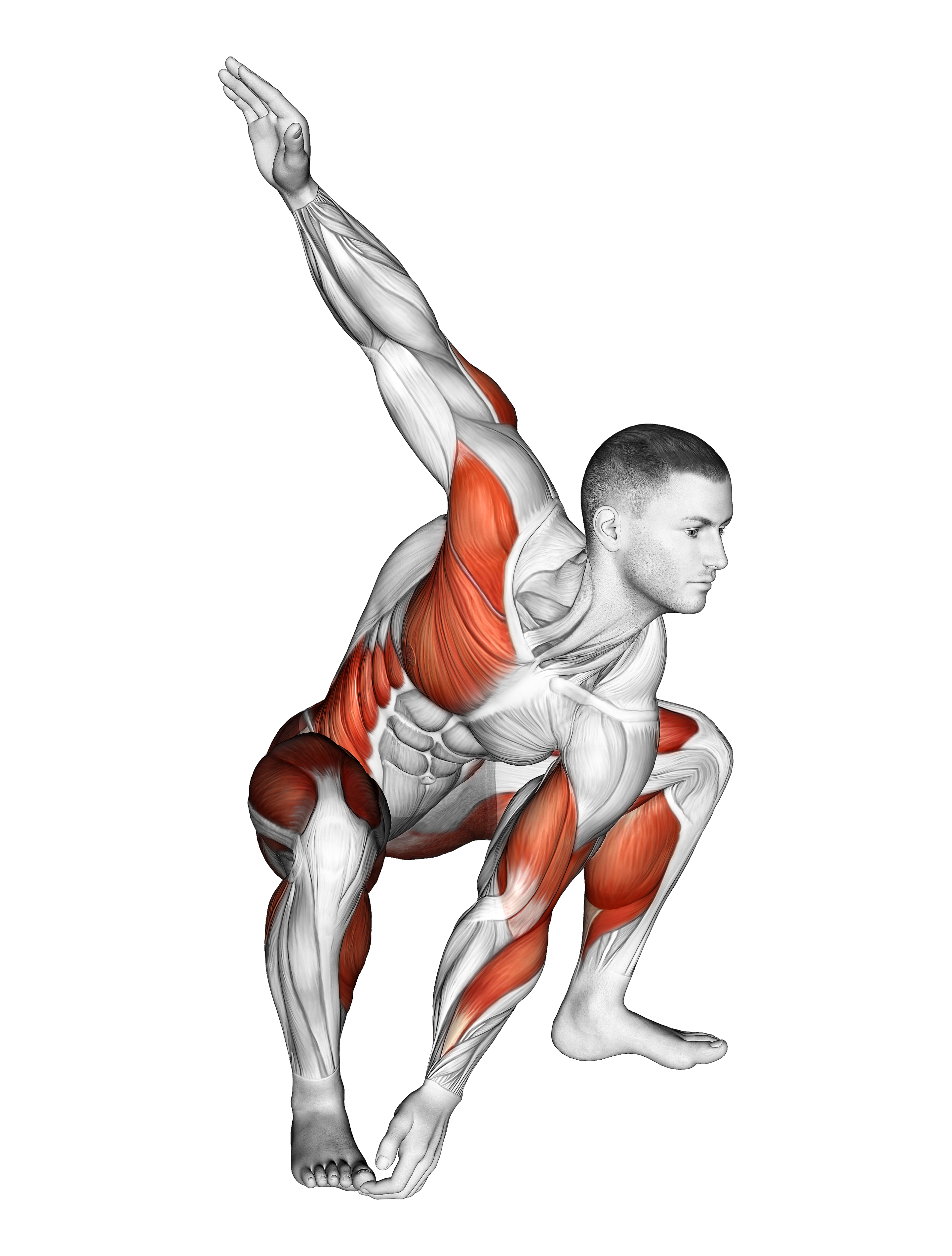 Sitting Sumo Left Twist Stretch