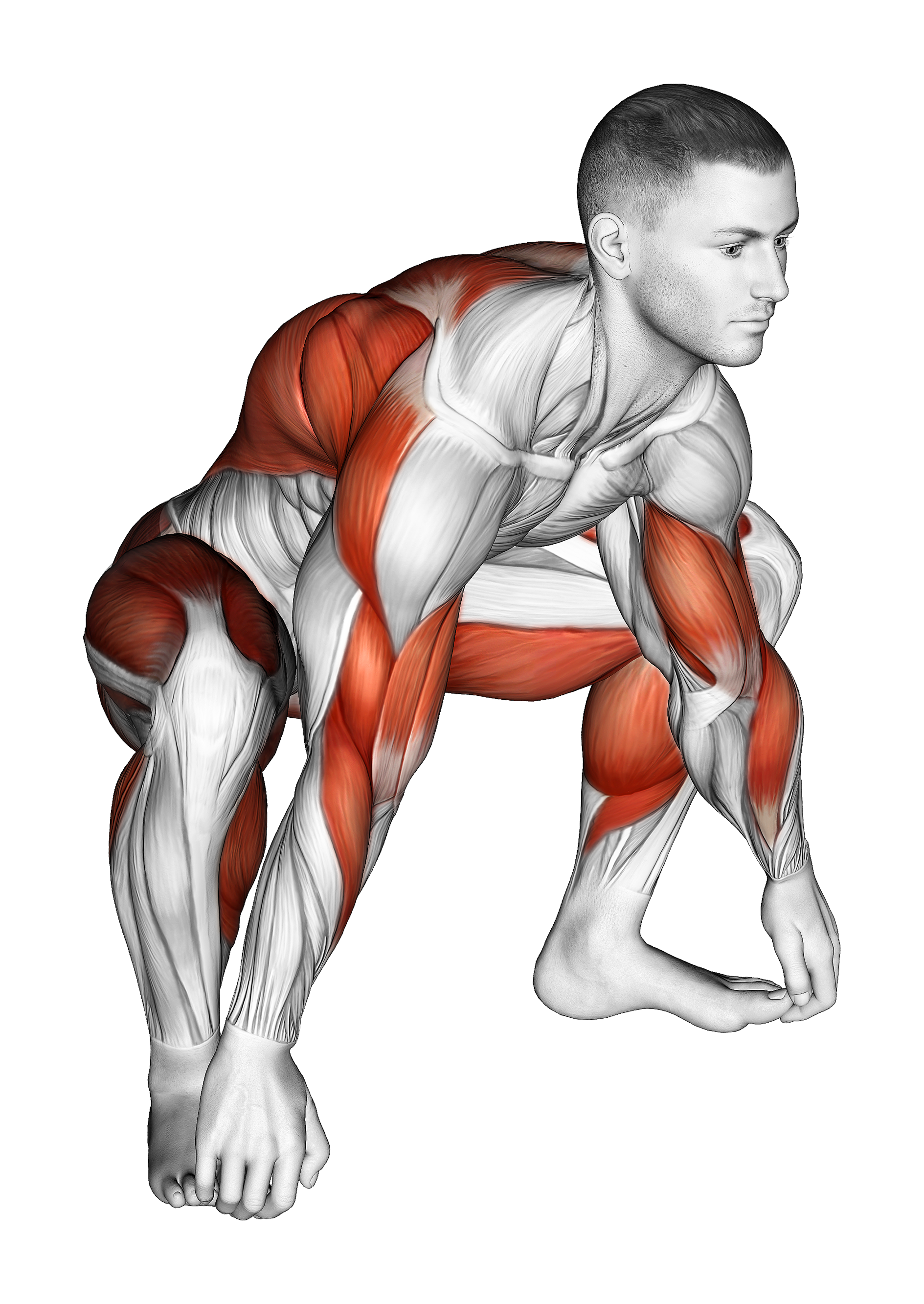 Sitting Sumo Mobility Stretch