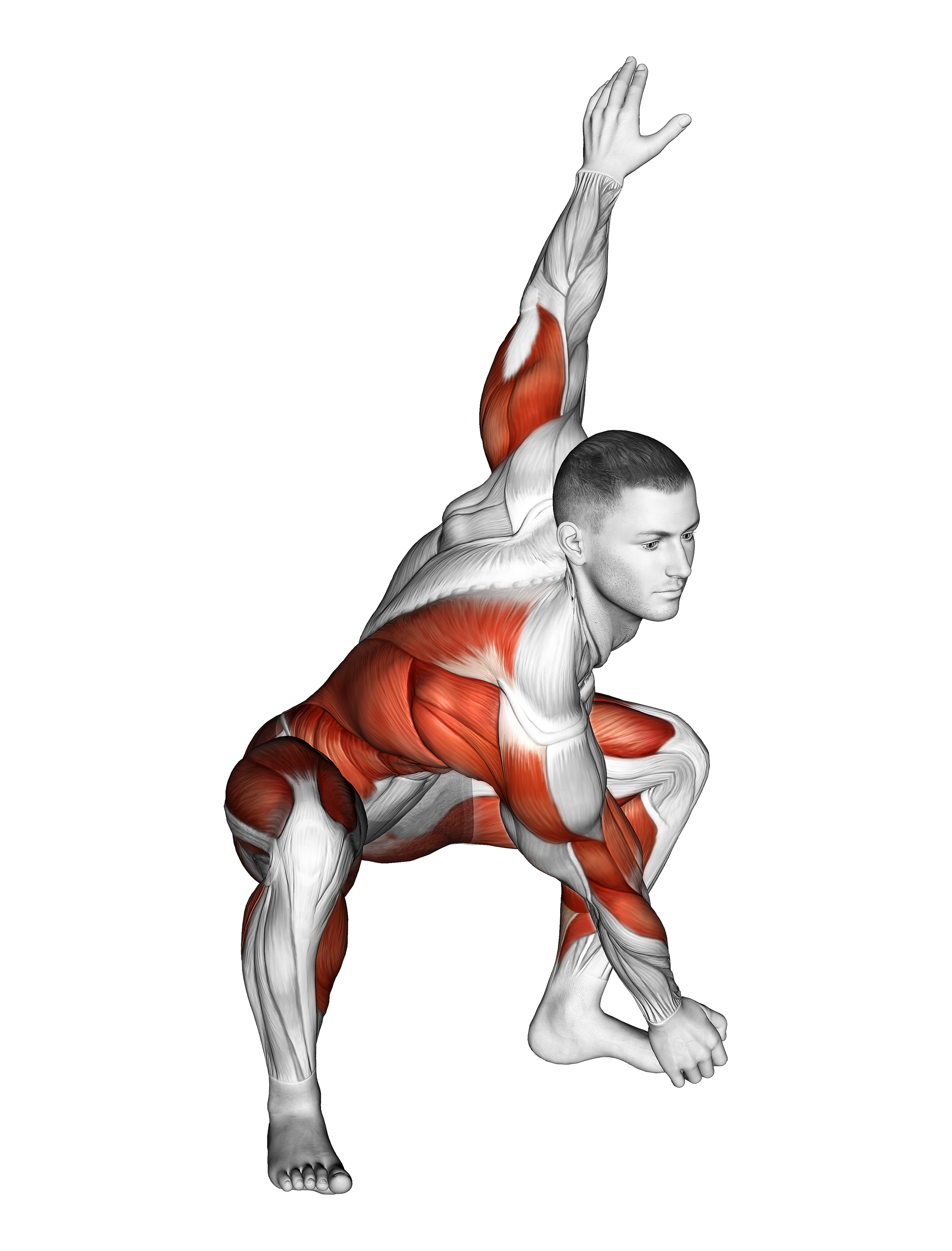 Sitting Sumo Right Twist Stretch