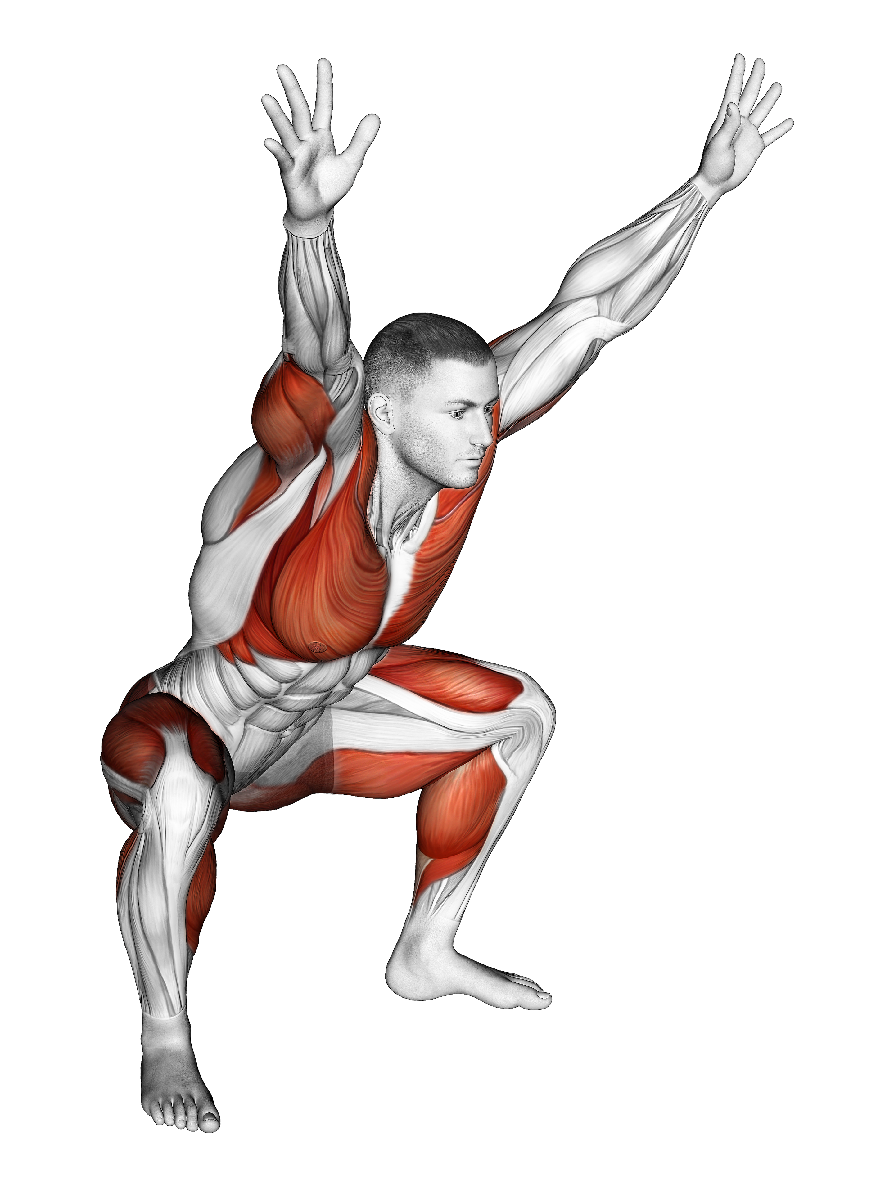 Sitting Sumo With Arms Up Mobility Stretch