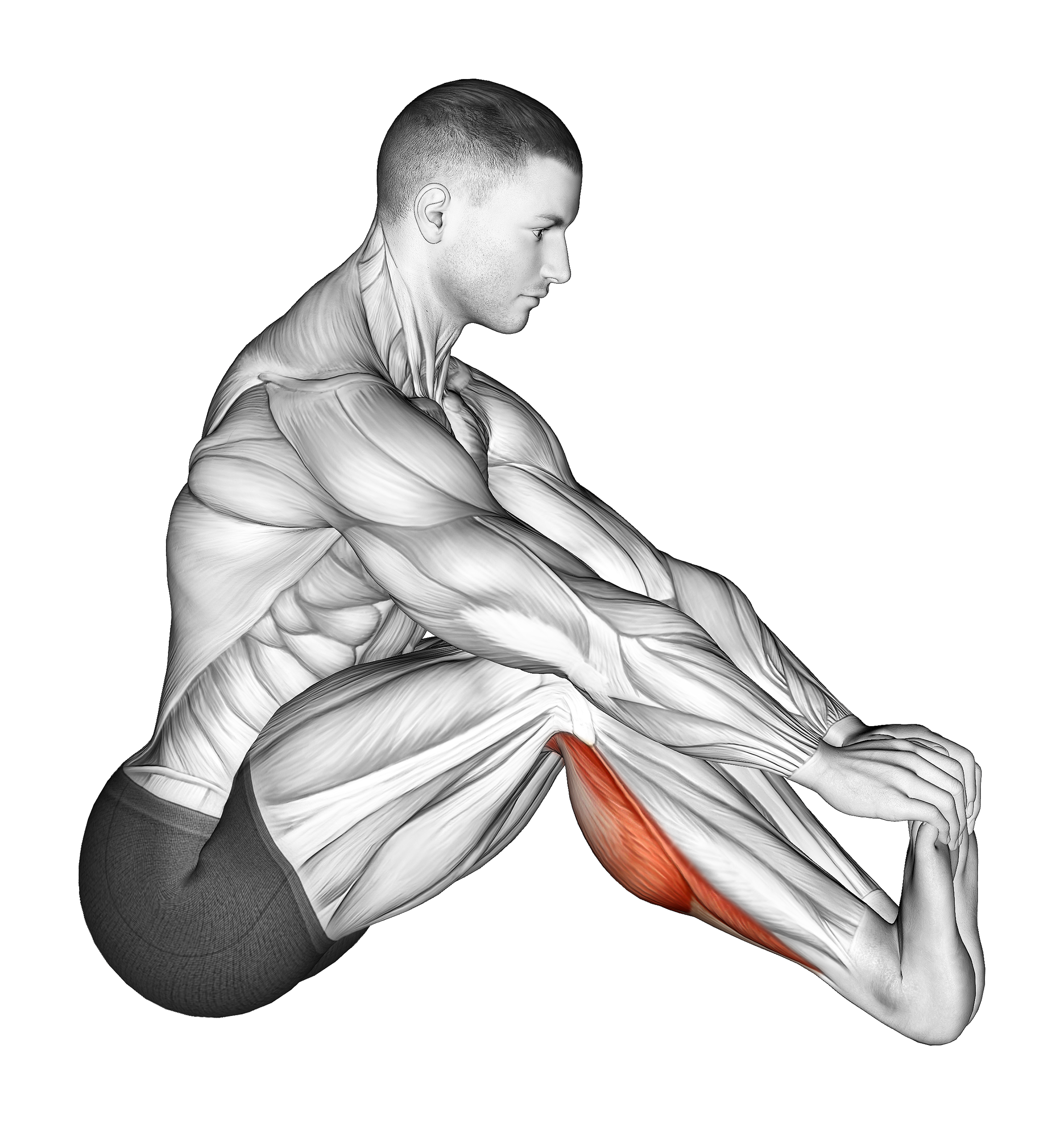 Sitting Toe Pull Achilles Stretch