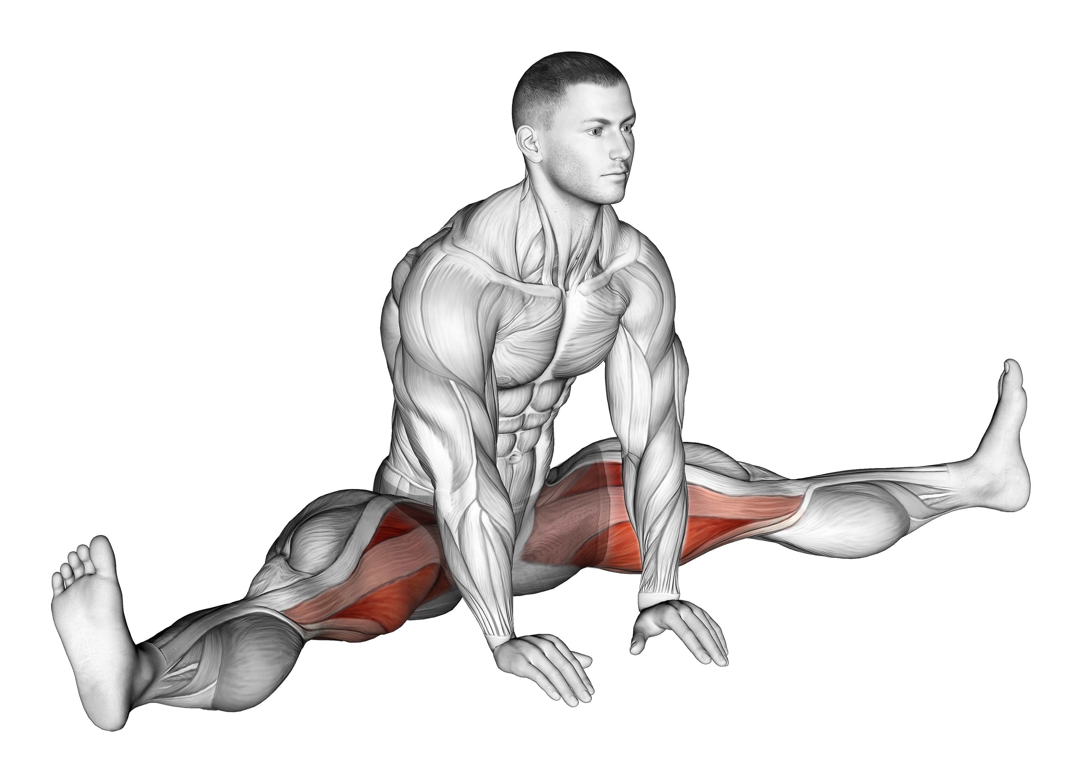 Sitting Wide Leg Adductor Stretch
