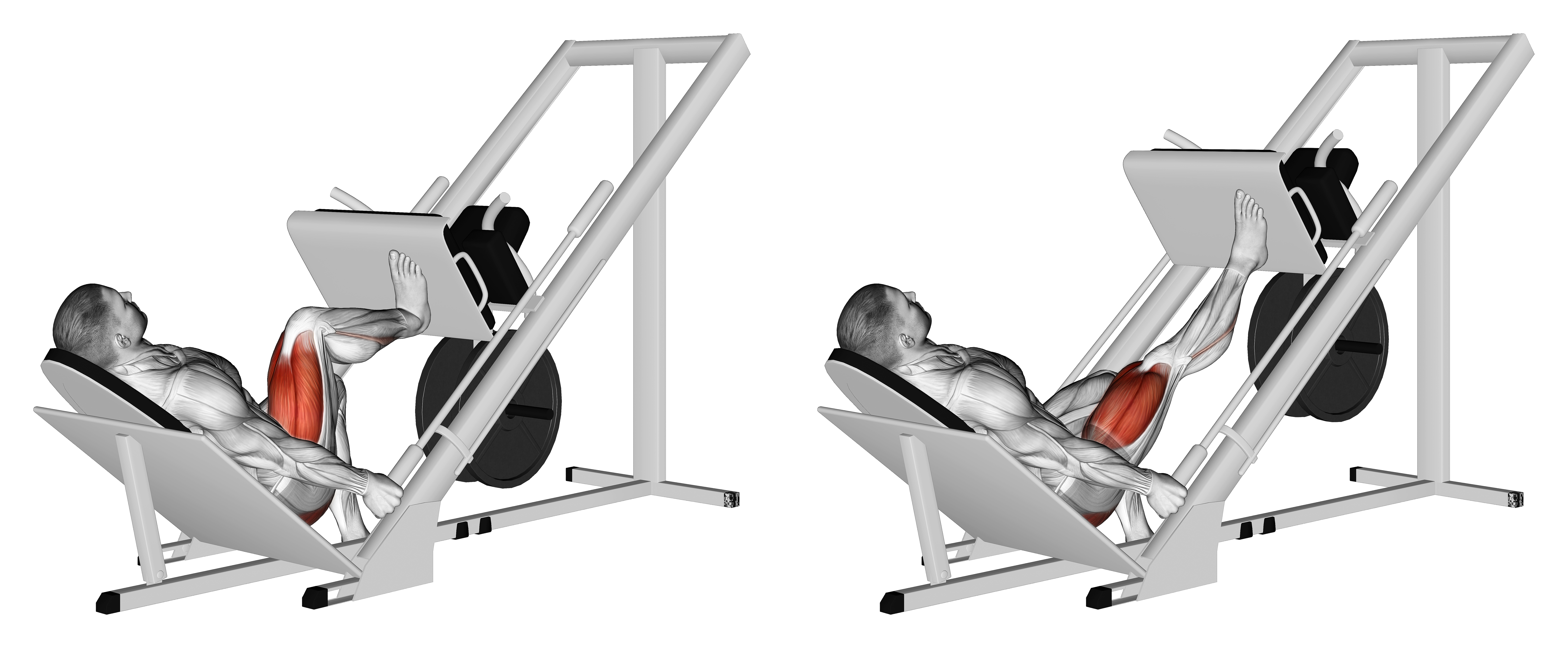 Sled 45 Degrees One Leg Press