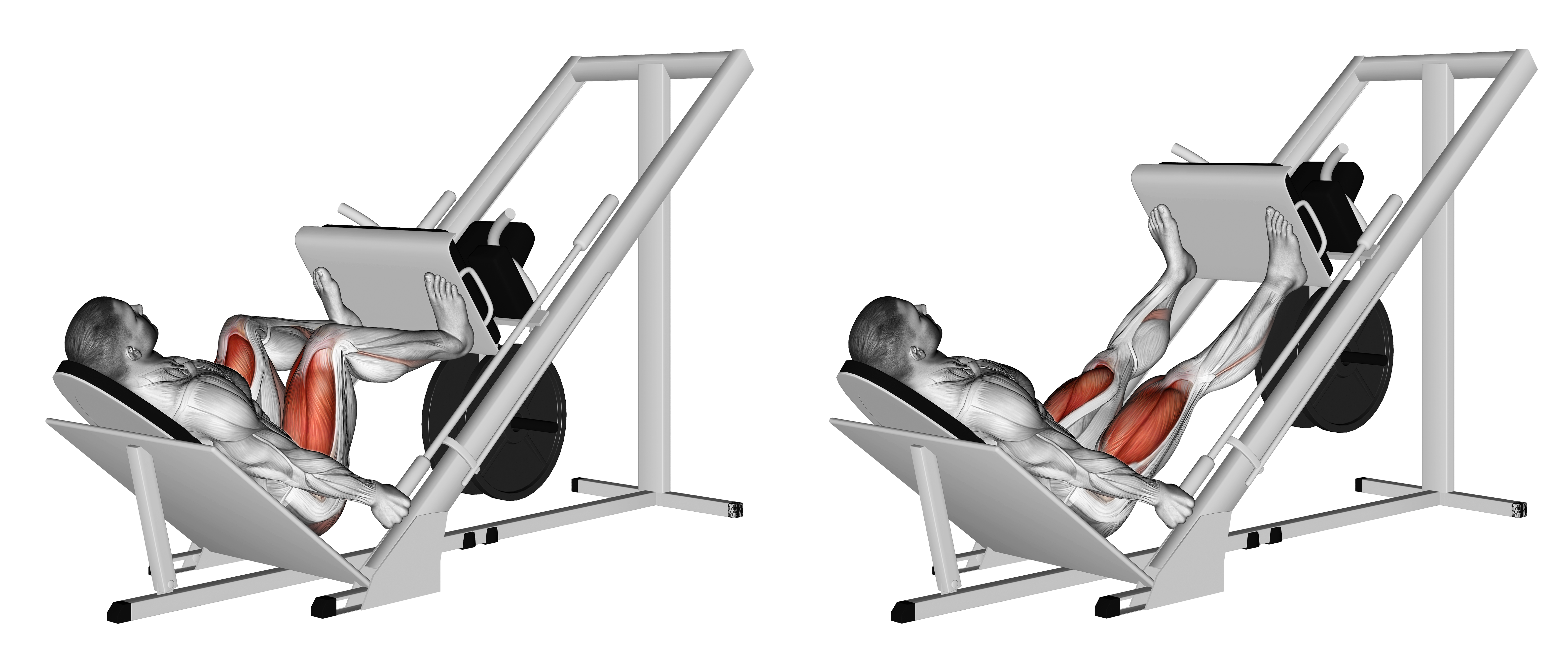 Sled 45° Leg Wide Press