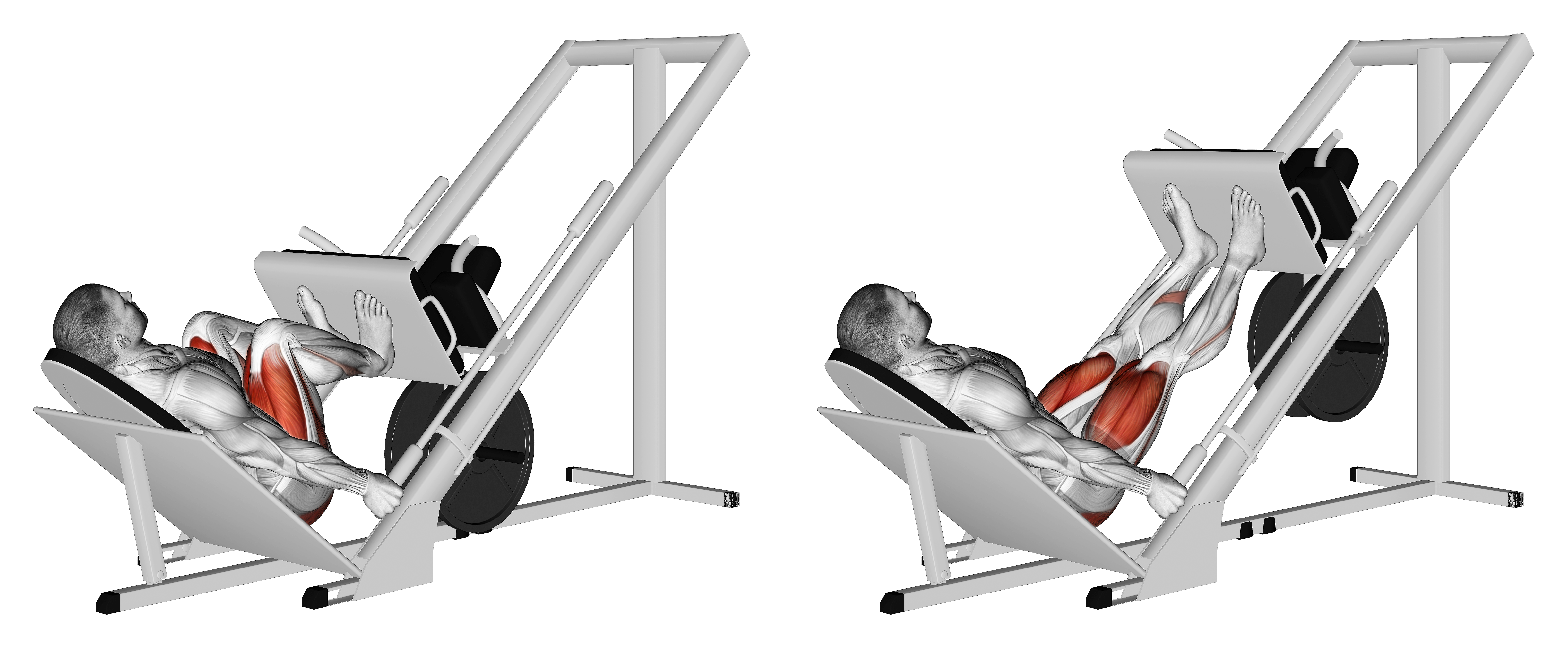 Sled 45 Narrow Stance Leg Press