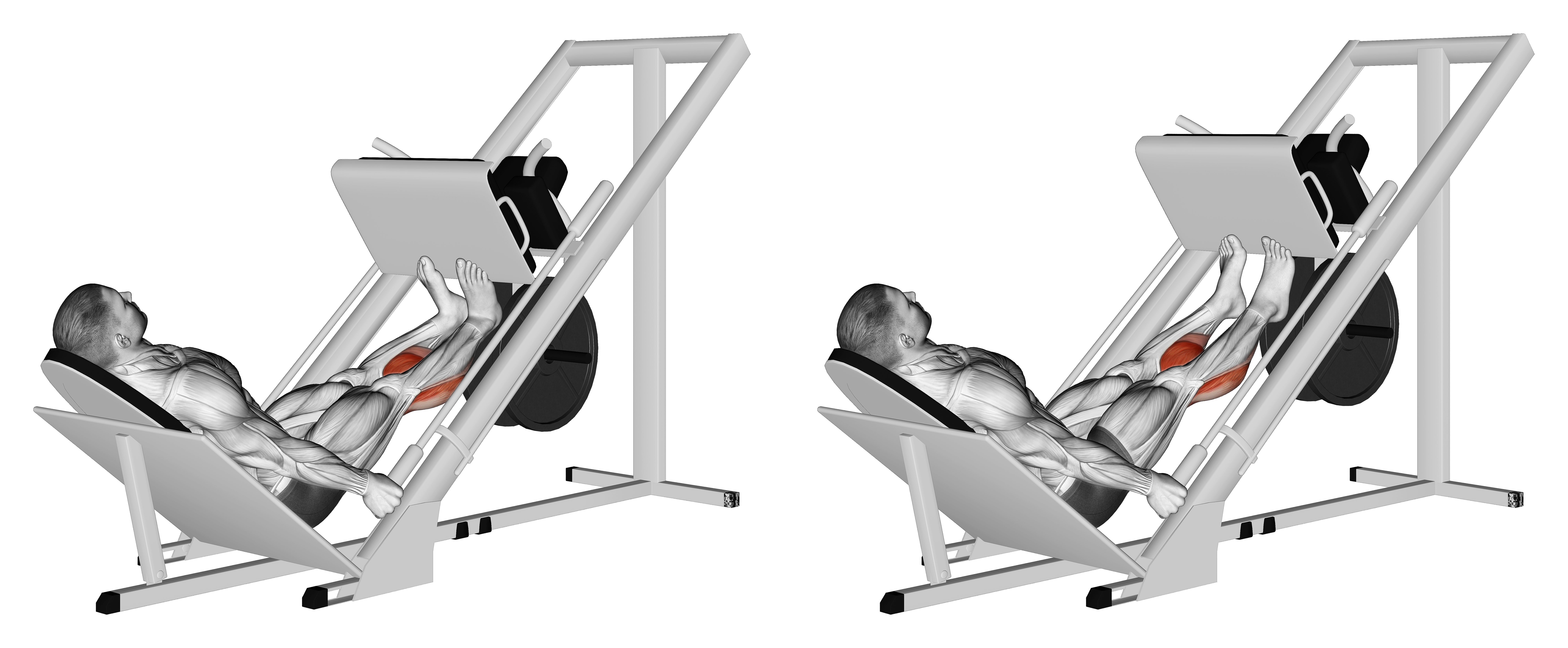 Sled Calf Press On Leg Press