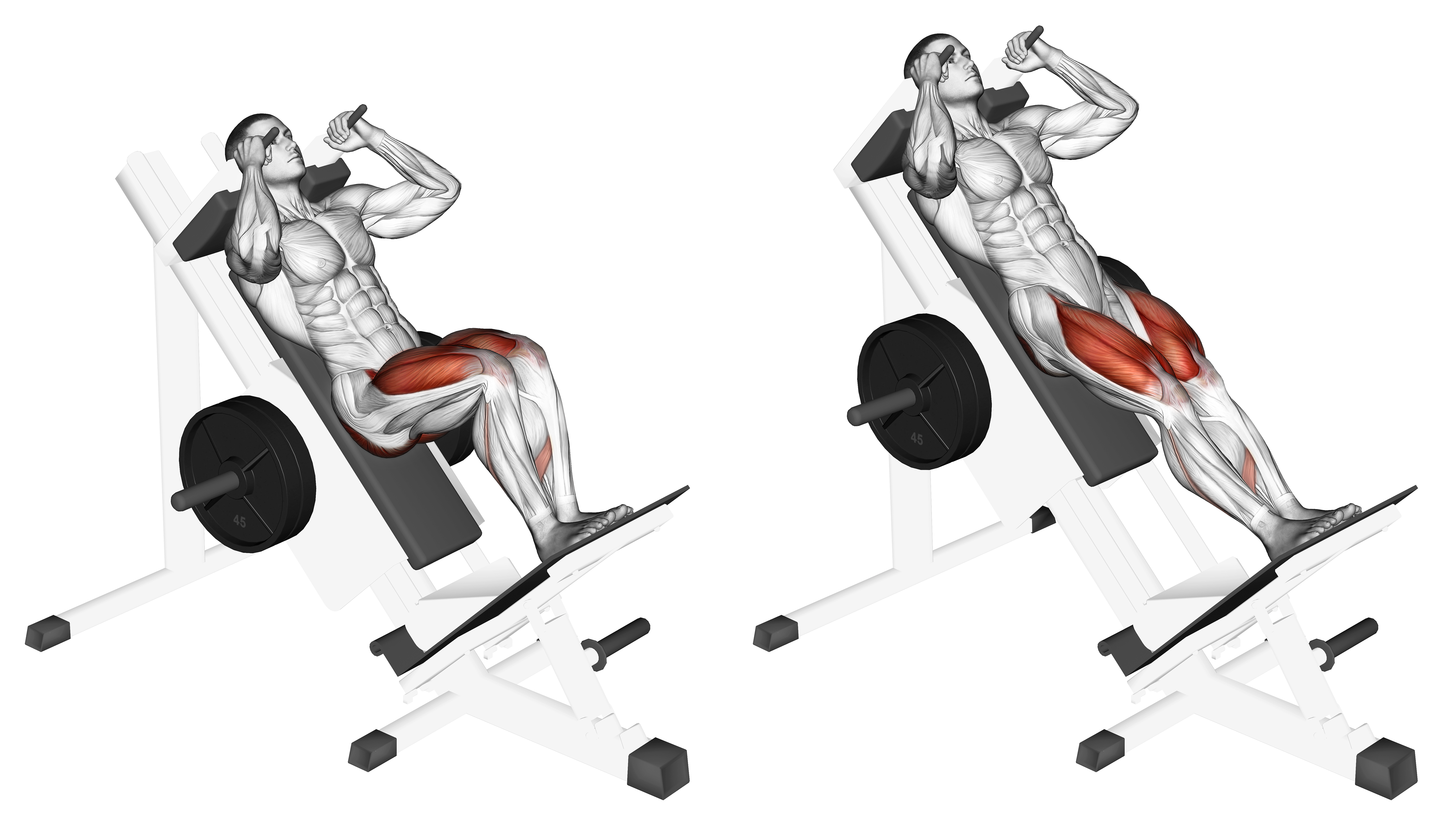 Sled Closer Hack Squat
