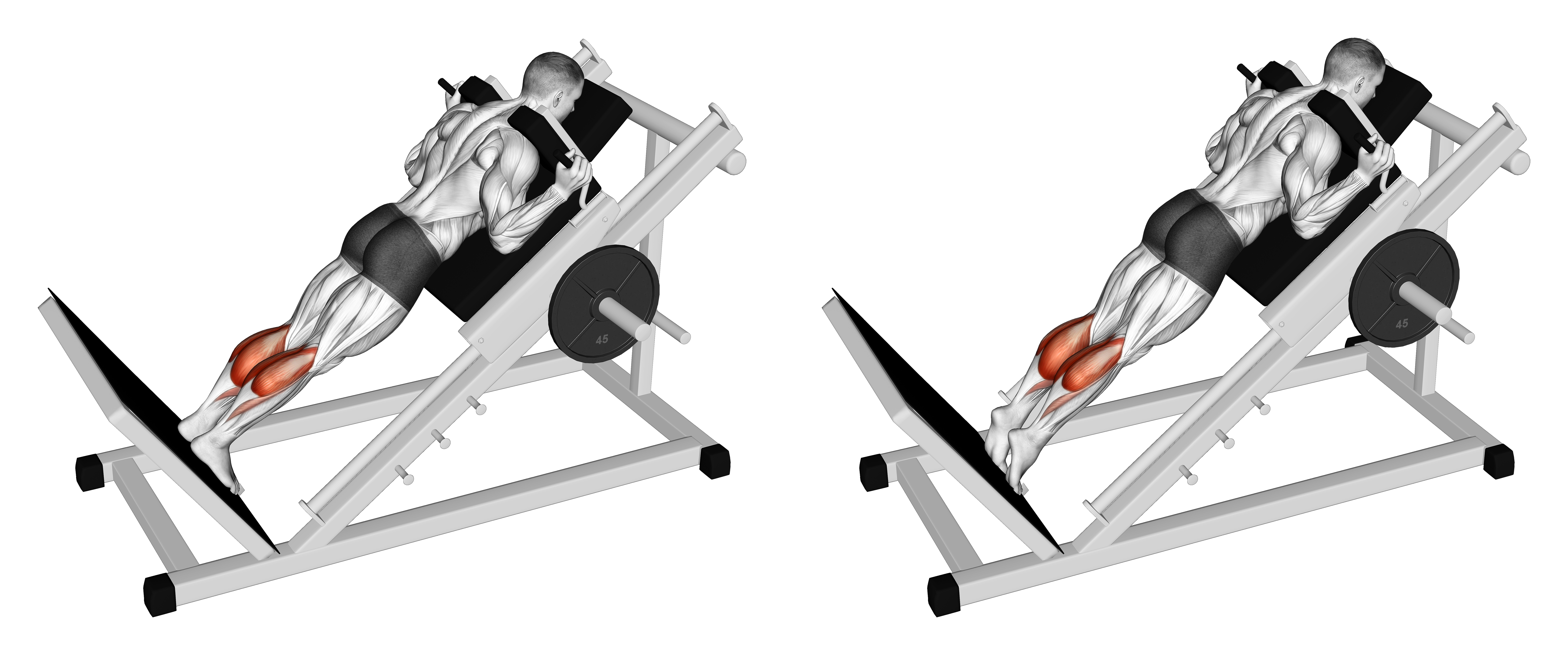 Sled Forward Angled Calf Raise