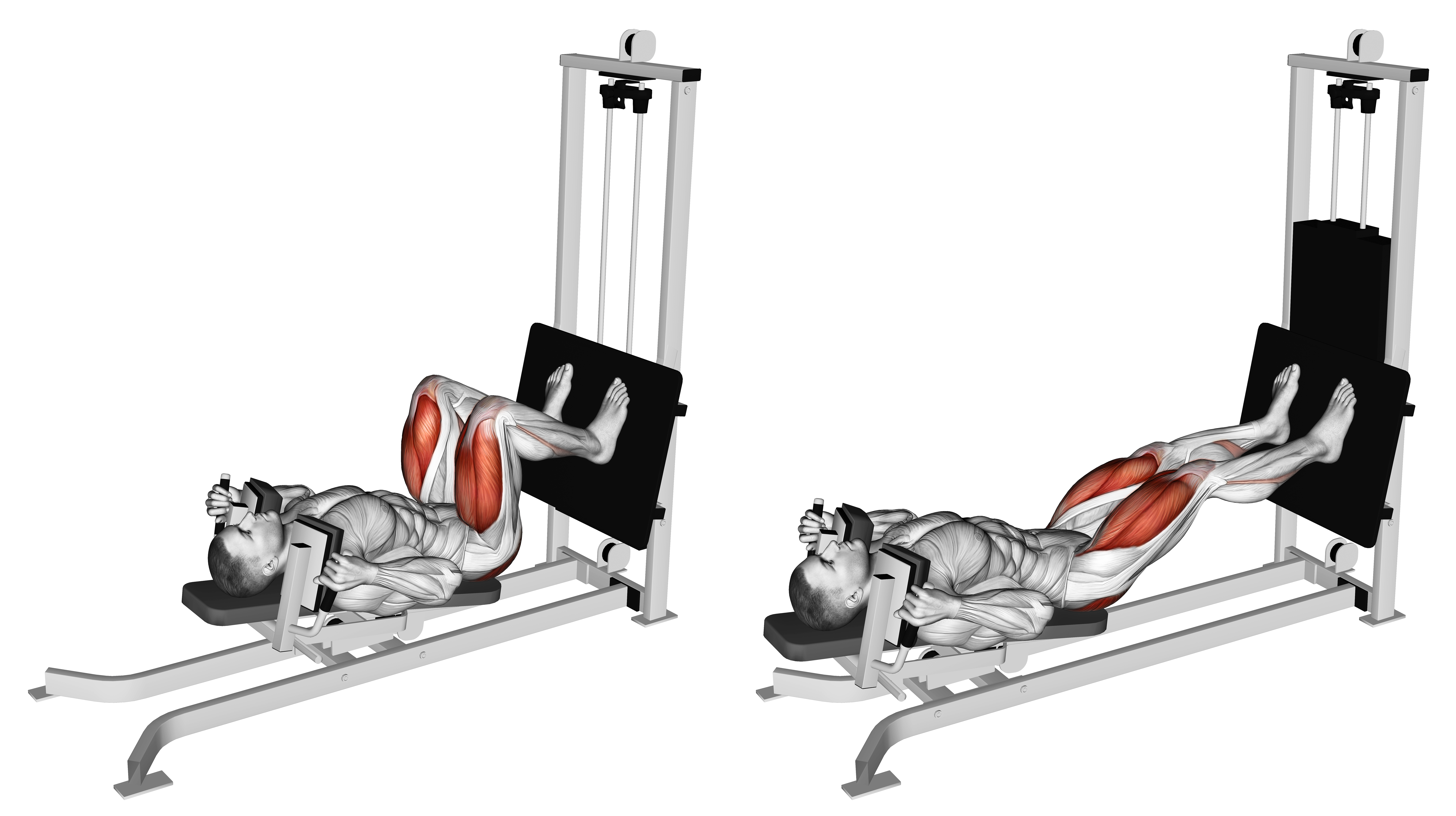 Sled Lying Squat