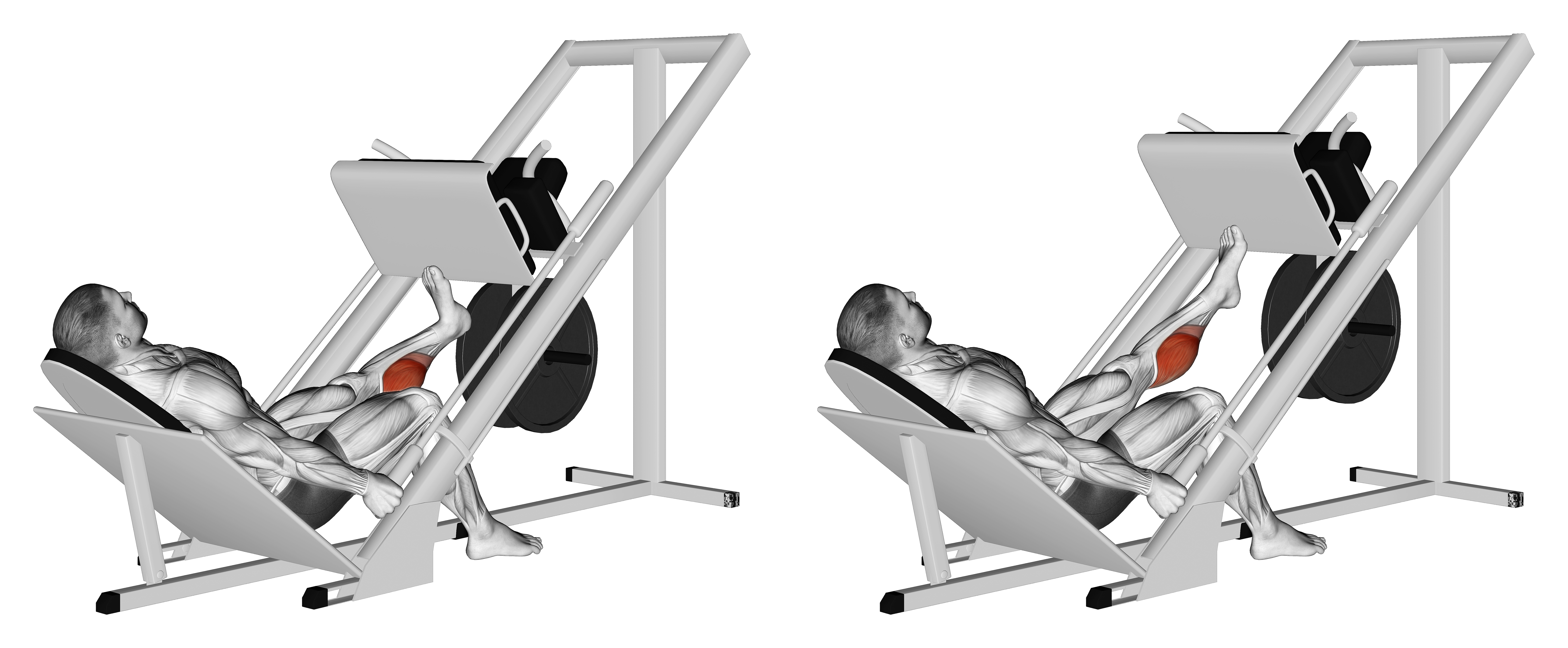 Sled One Leg Calf Press On Leg Press