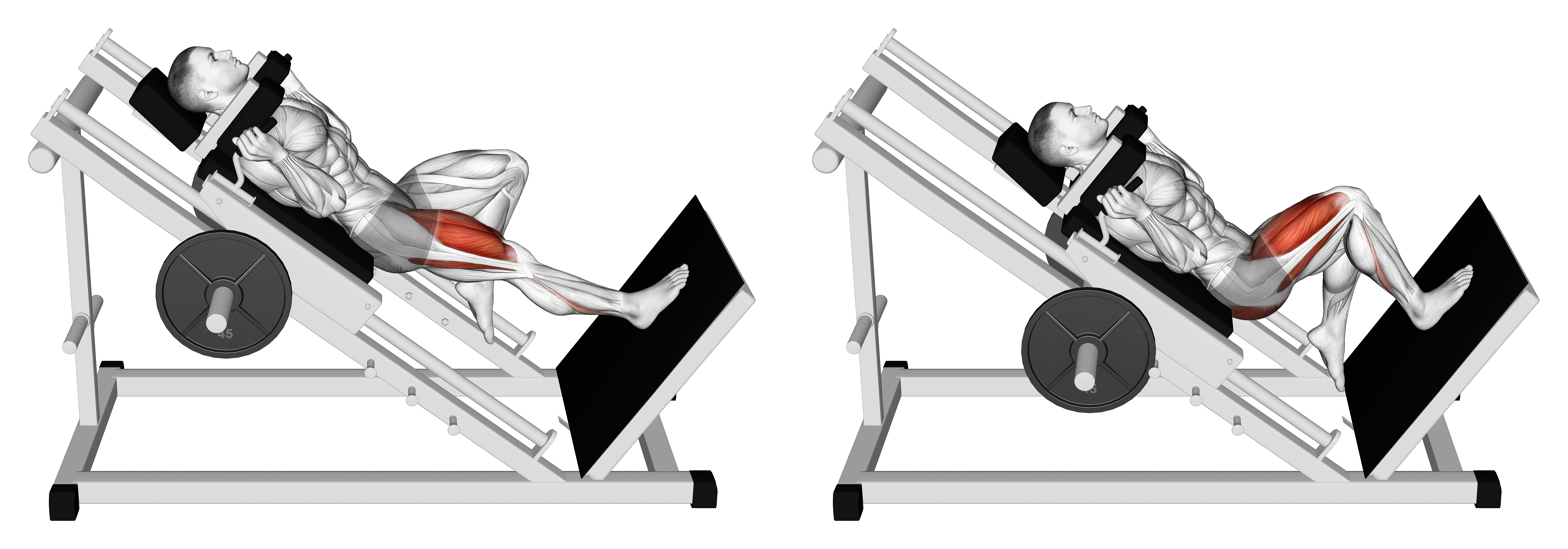Sled One Leg Hack Squat