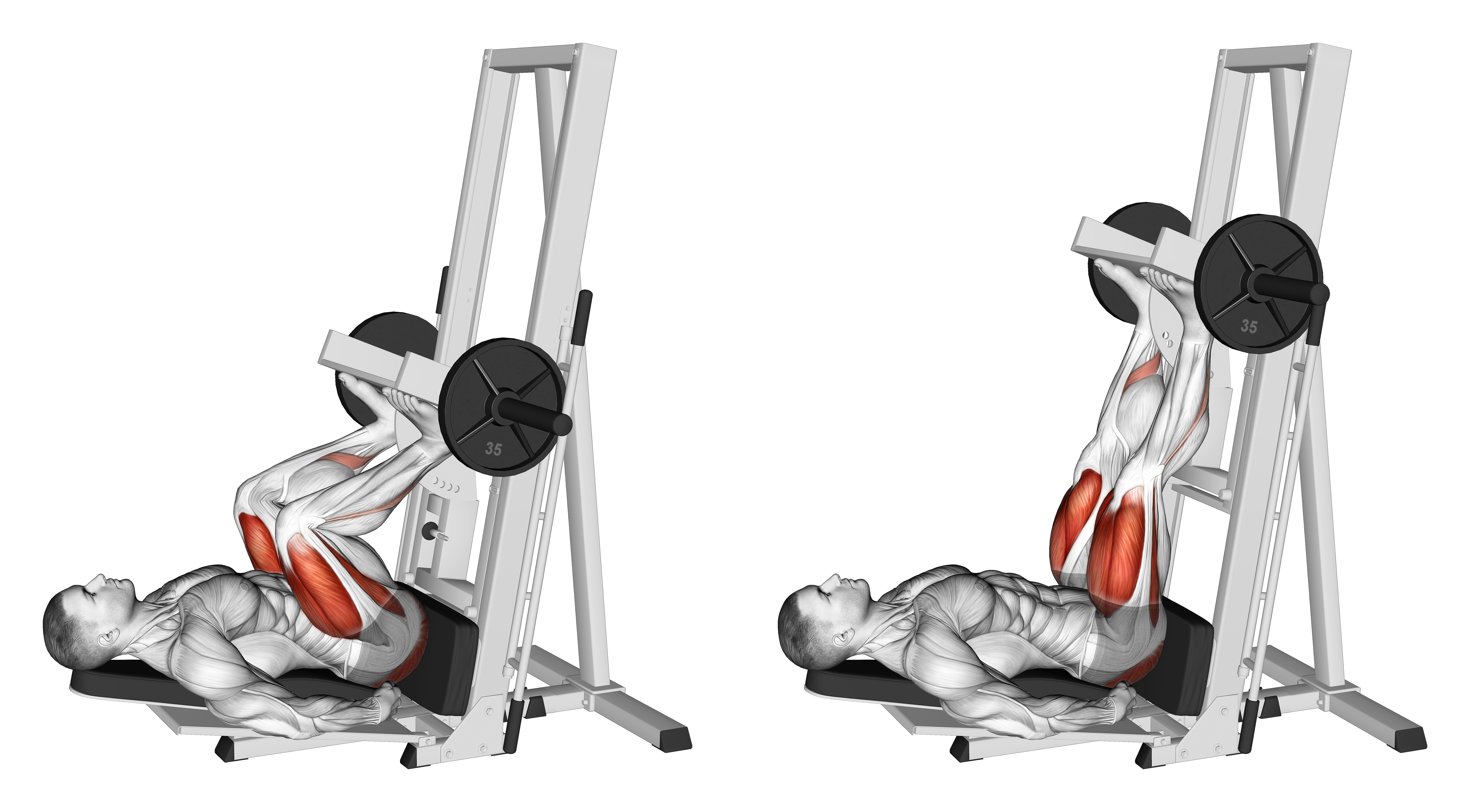 Sled Vertical Leg Press