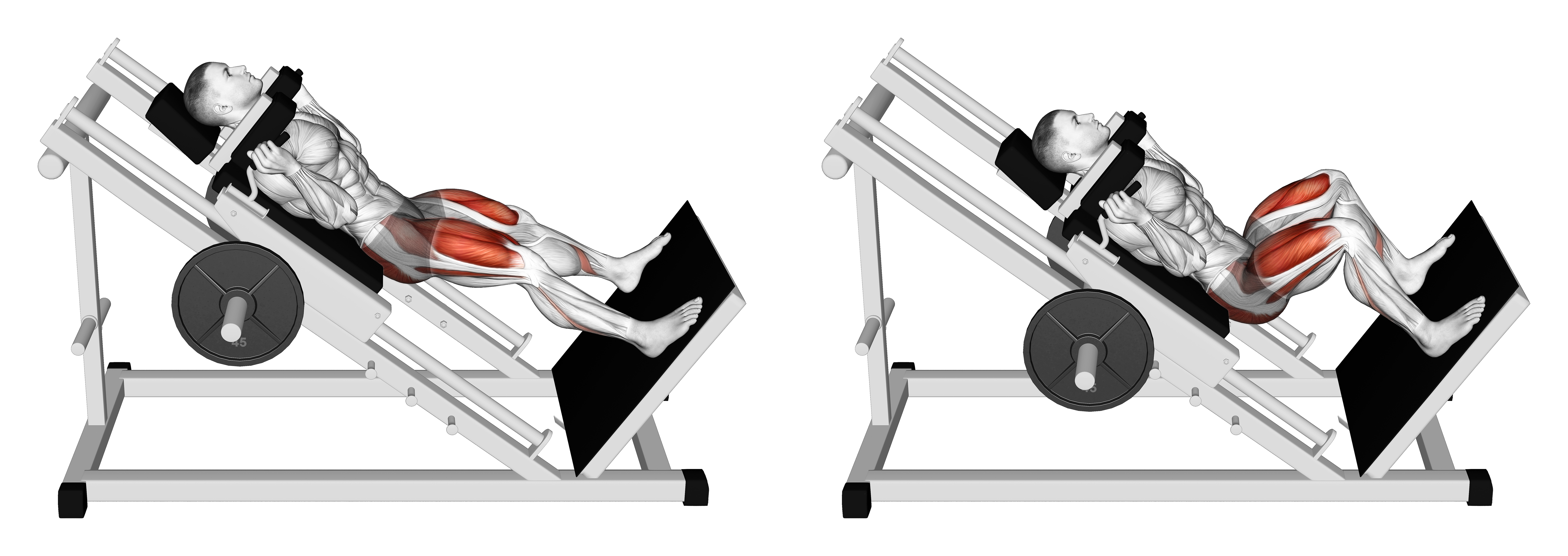 Sled Wide Hack Squat