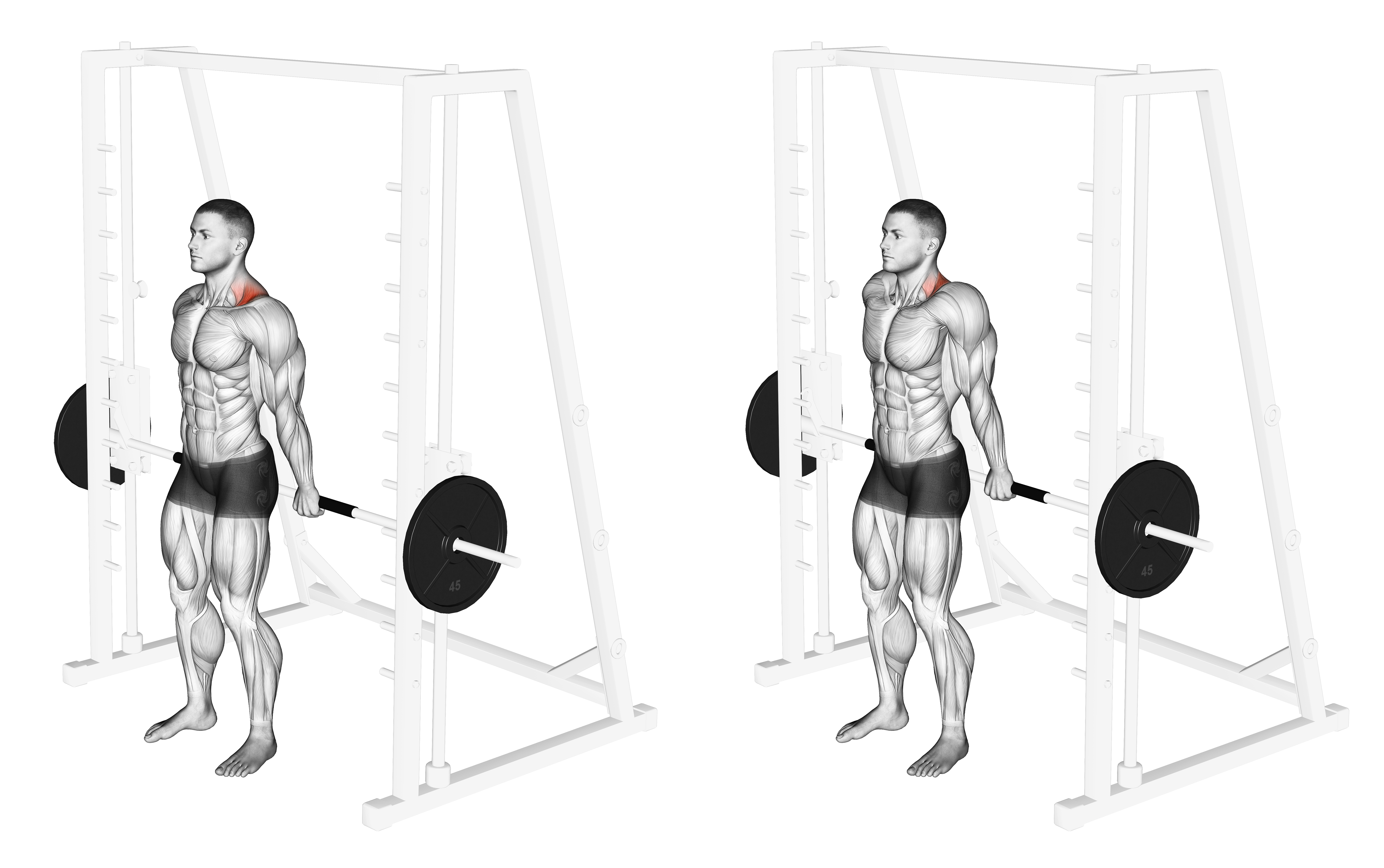 Smith Back Shrug