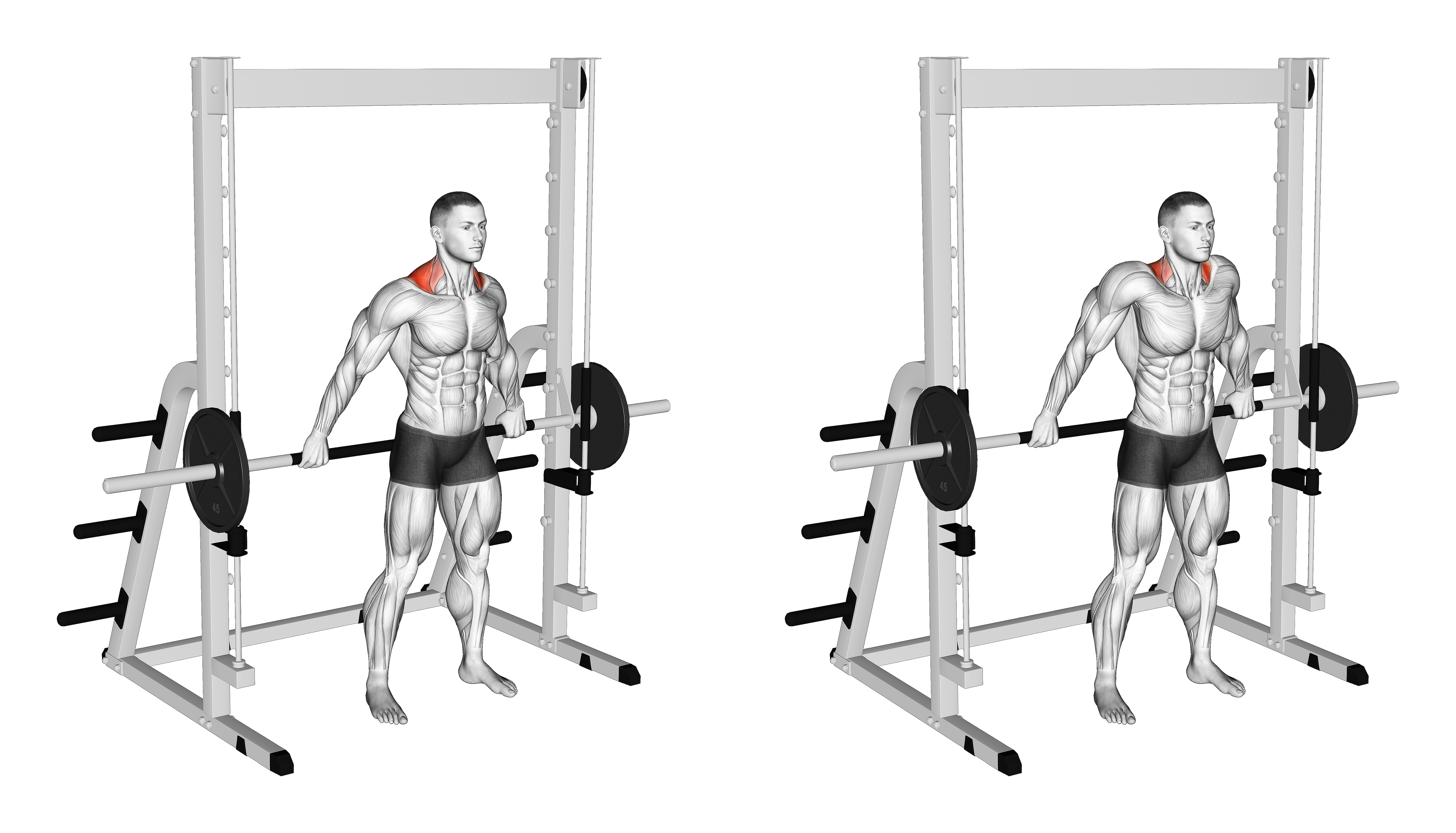 Smith Back Wide Shrug