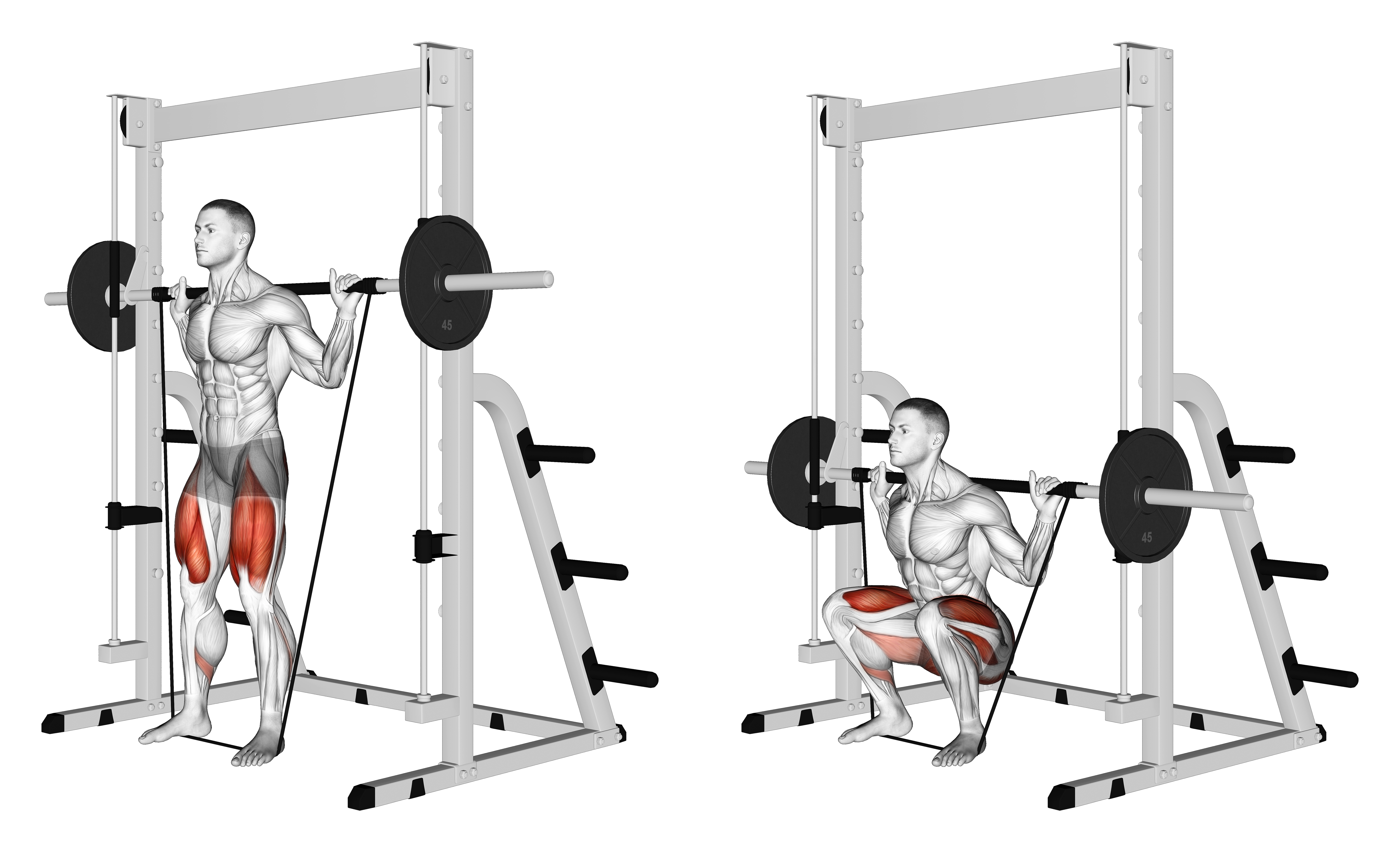 Smith Banded Full Squat