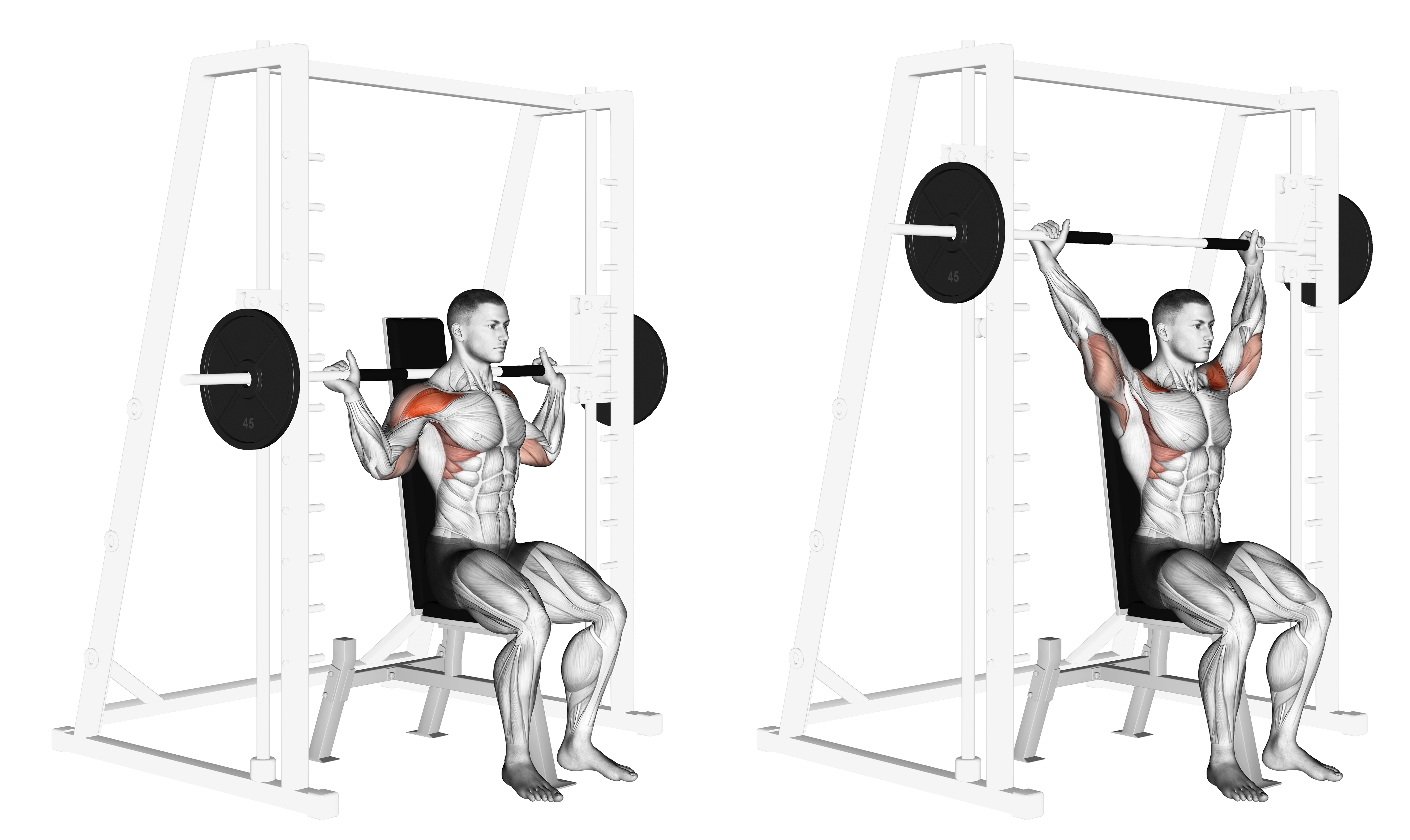 Smith Behind Neck Press