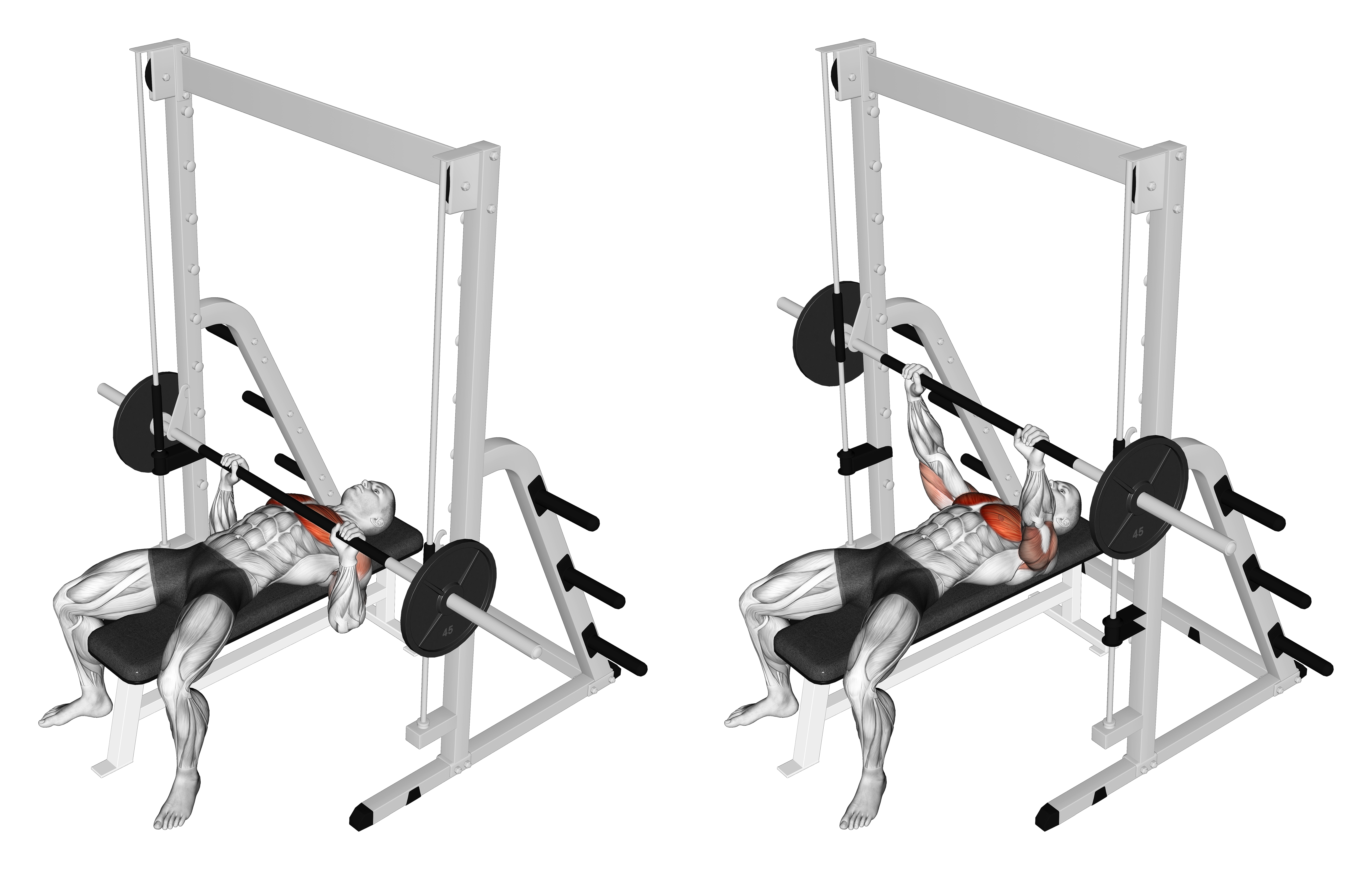 Smith Bench Press