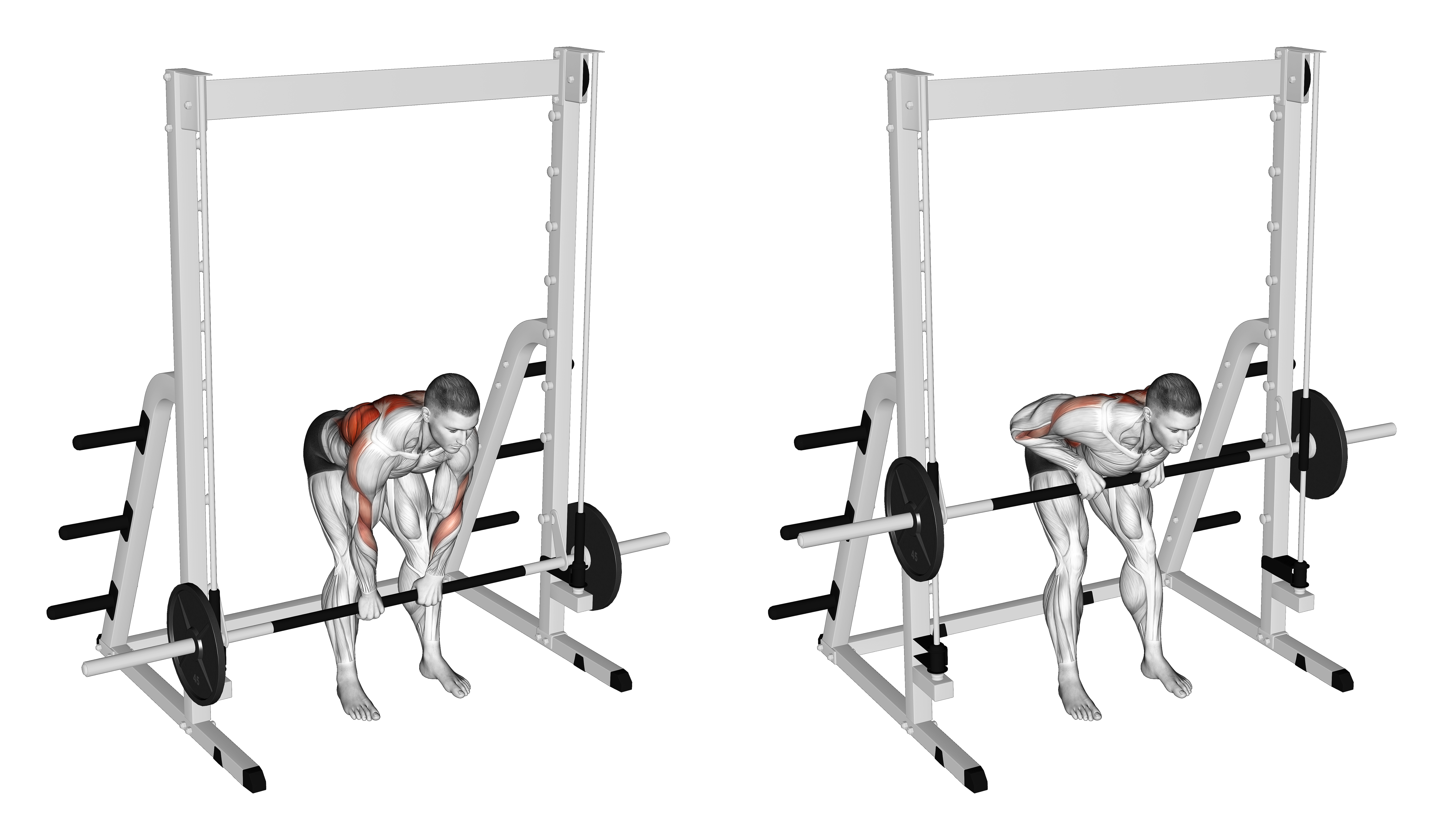 Smith Bent Over Narrow Pronated Grip Row