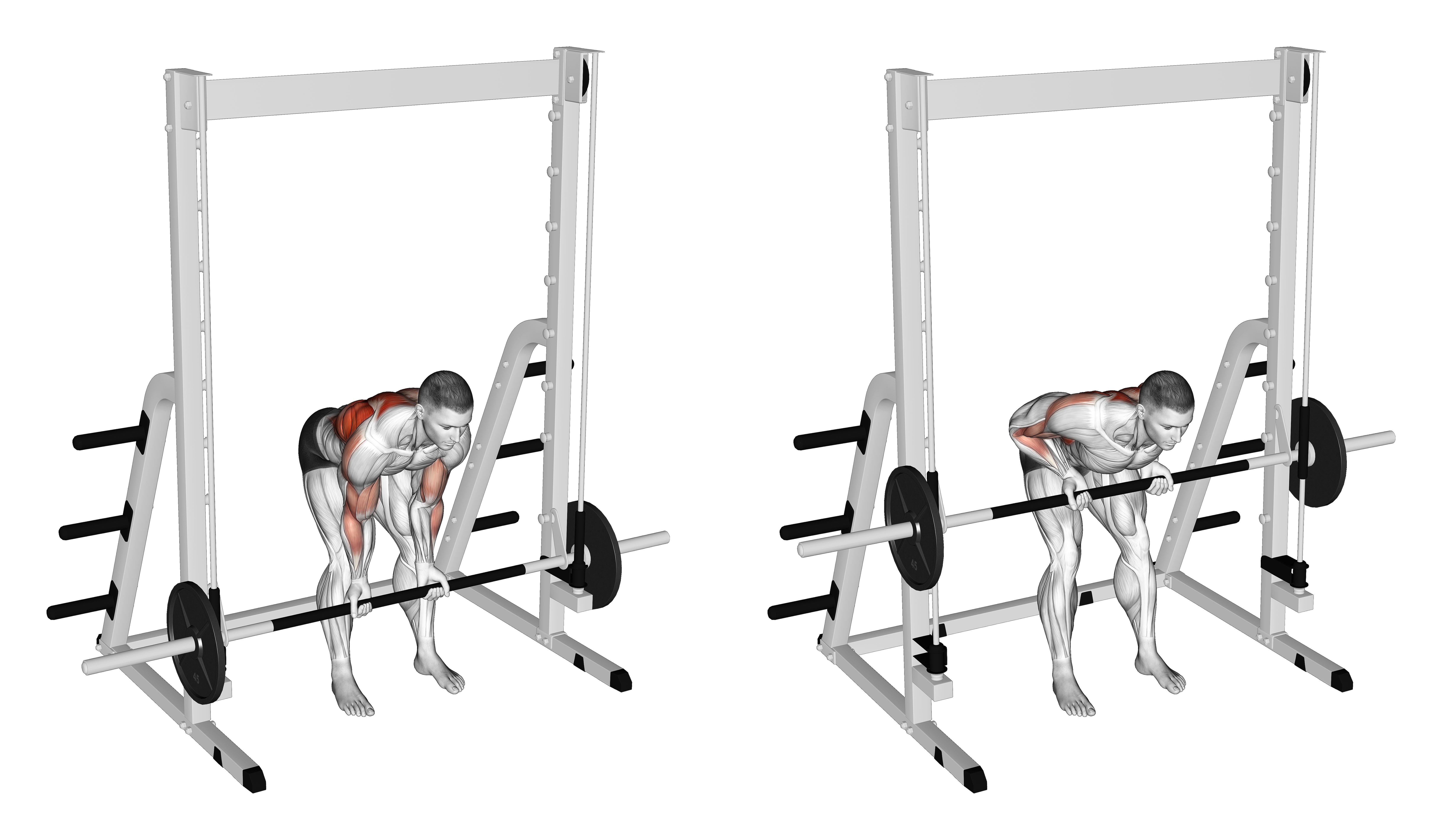 Smith Bent Over Narrow Supinated Grip Row