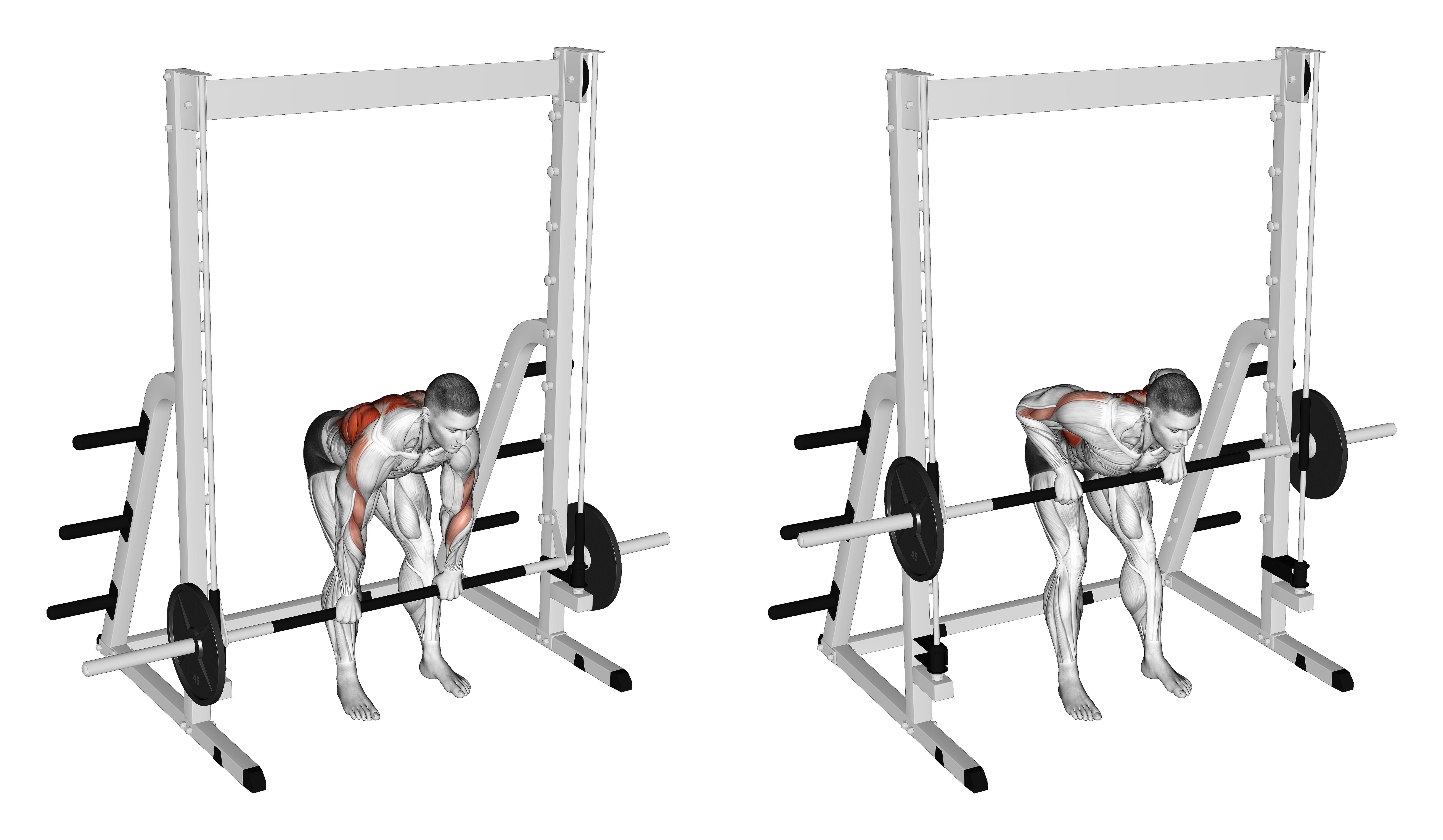 Smith Bent Over Pronated Grip Row