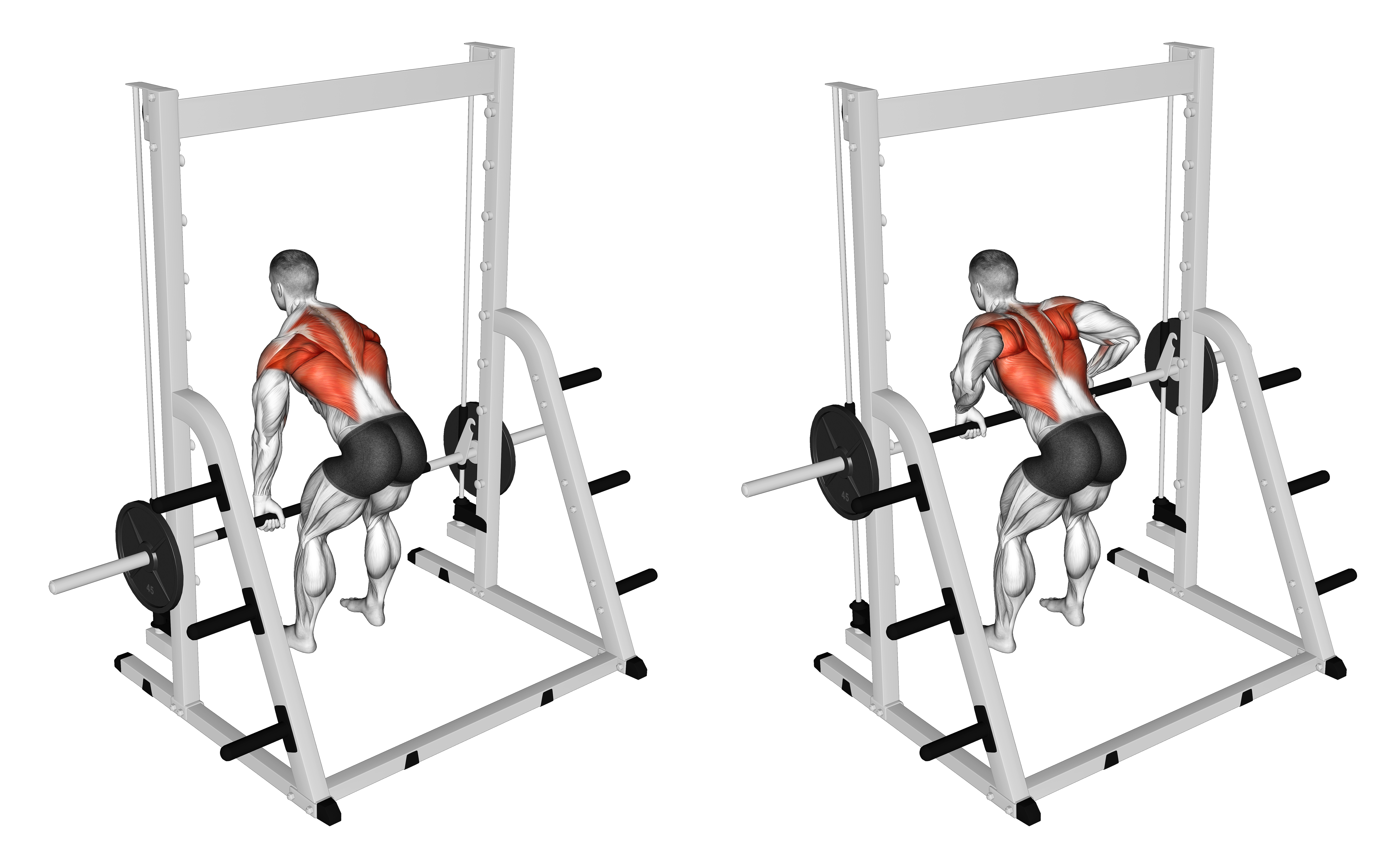 Smith Bent Over Row (version 2)