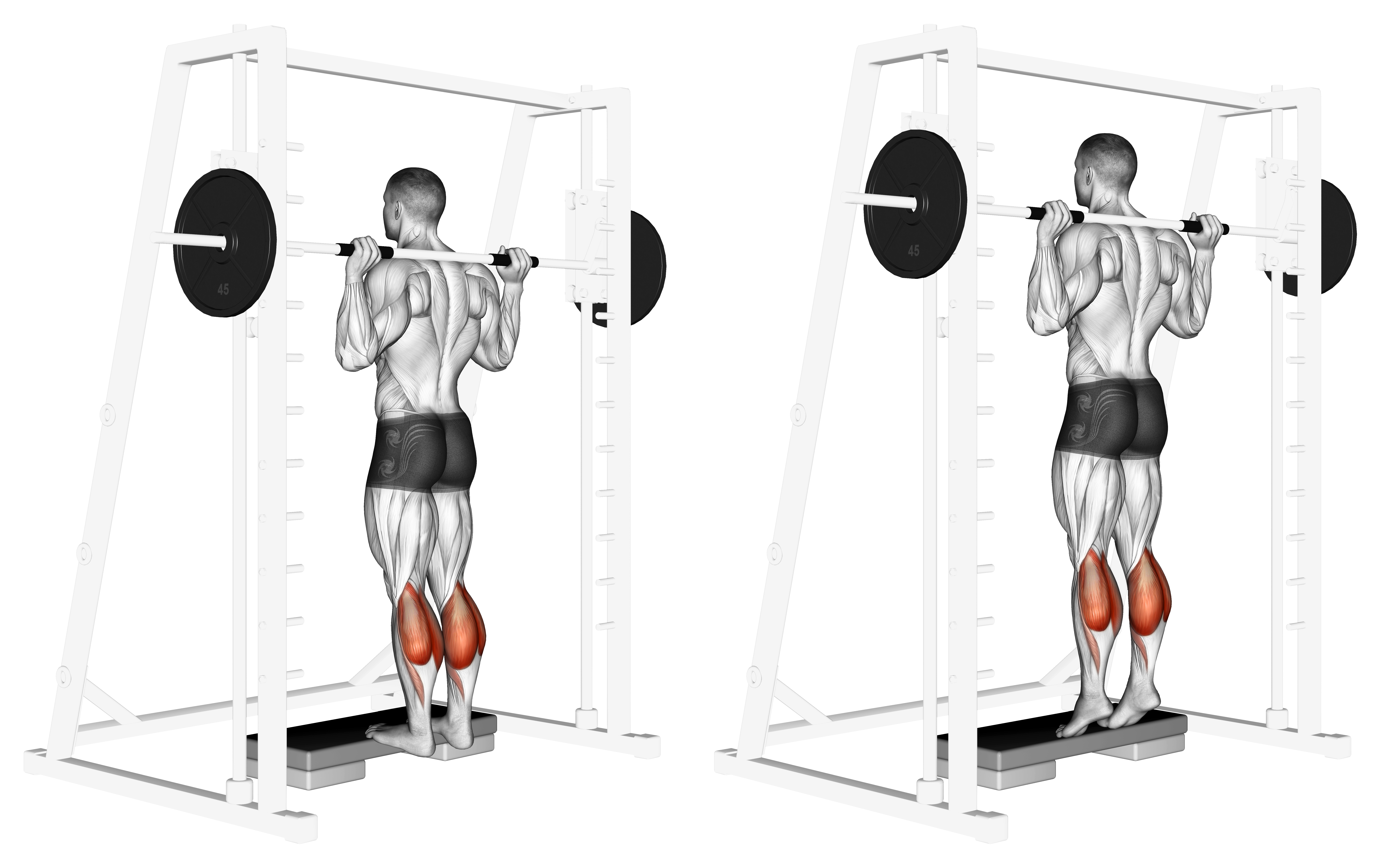Smith Calf Raise (version 2)