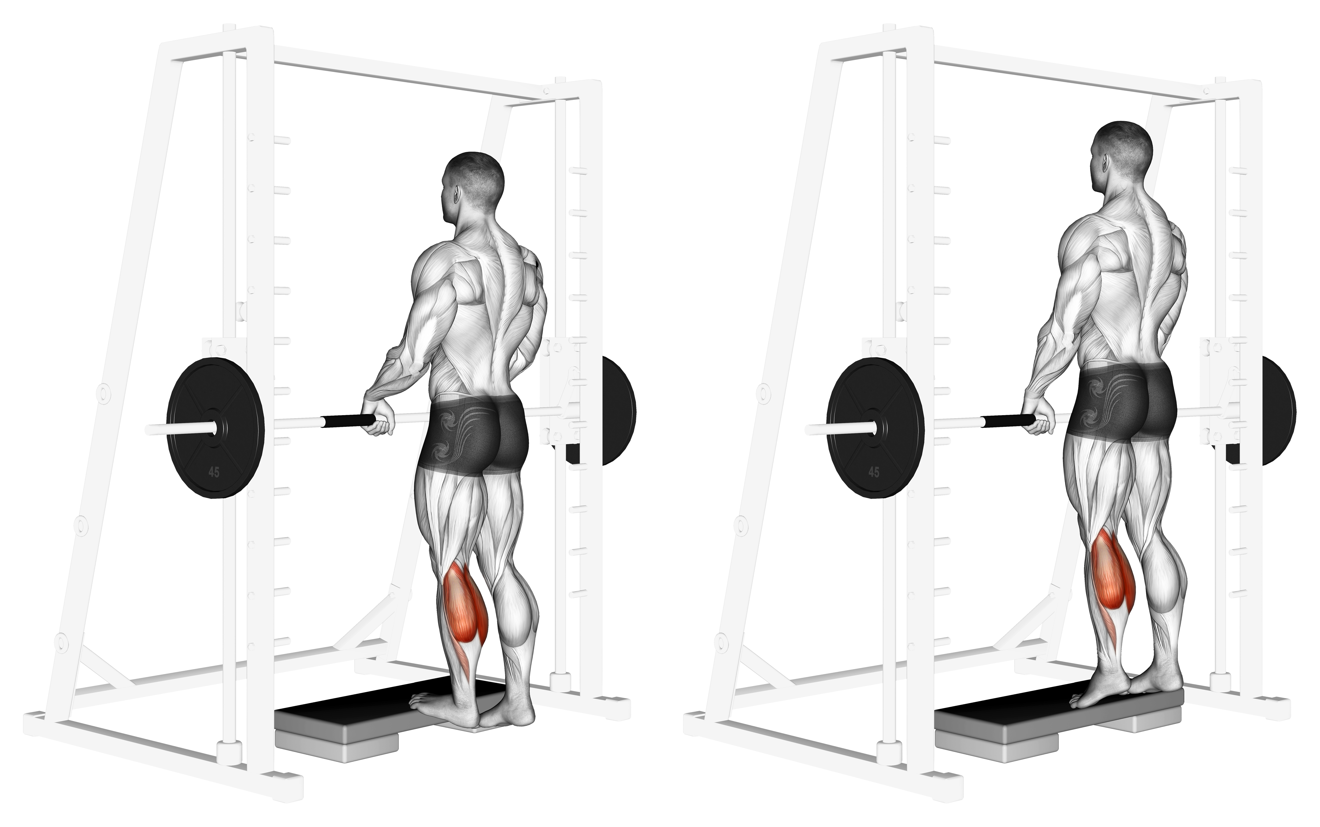 Smith Calf Raise (with Block)