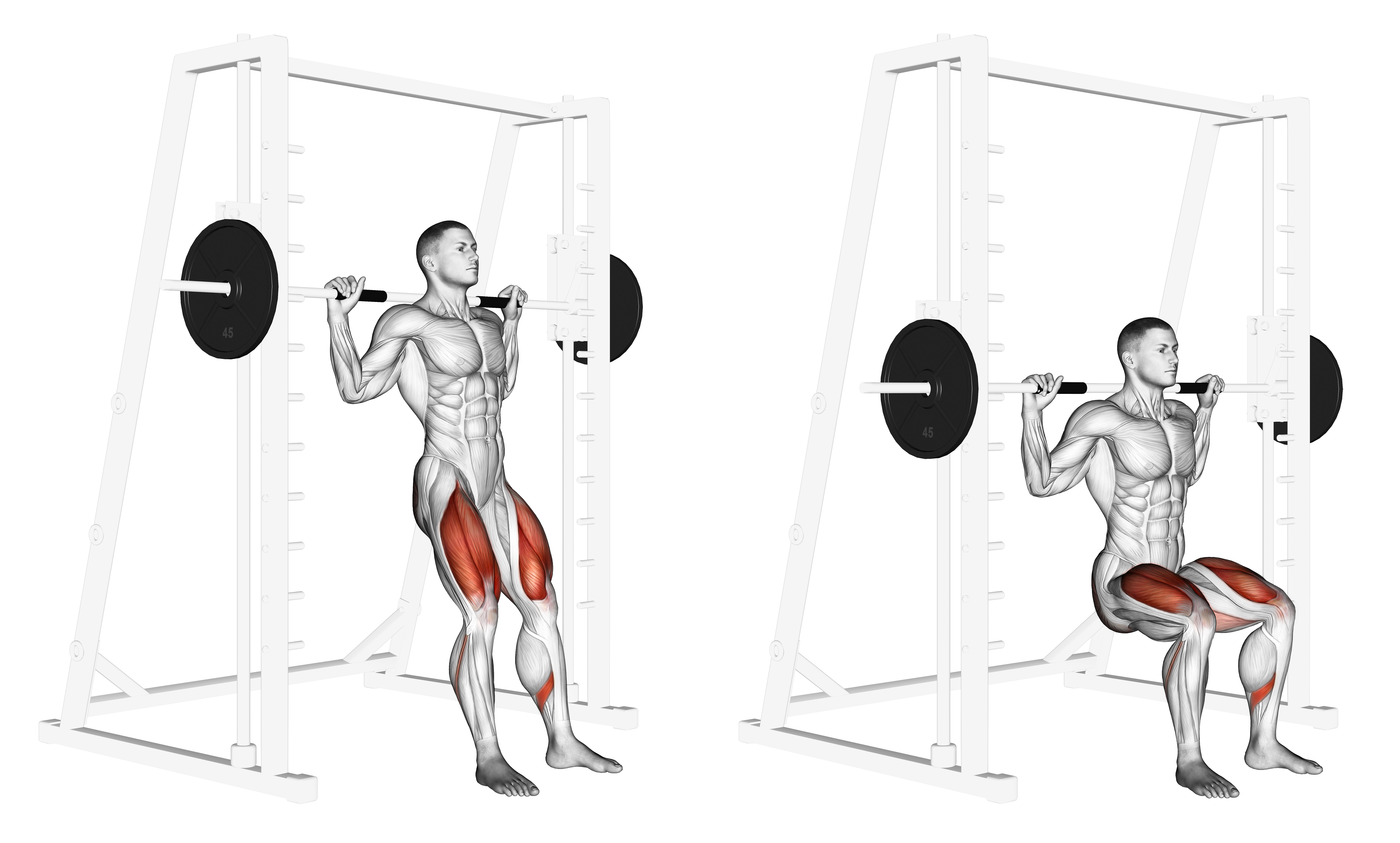 Smith Chair Squat