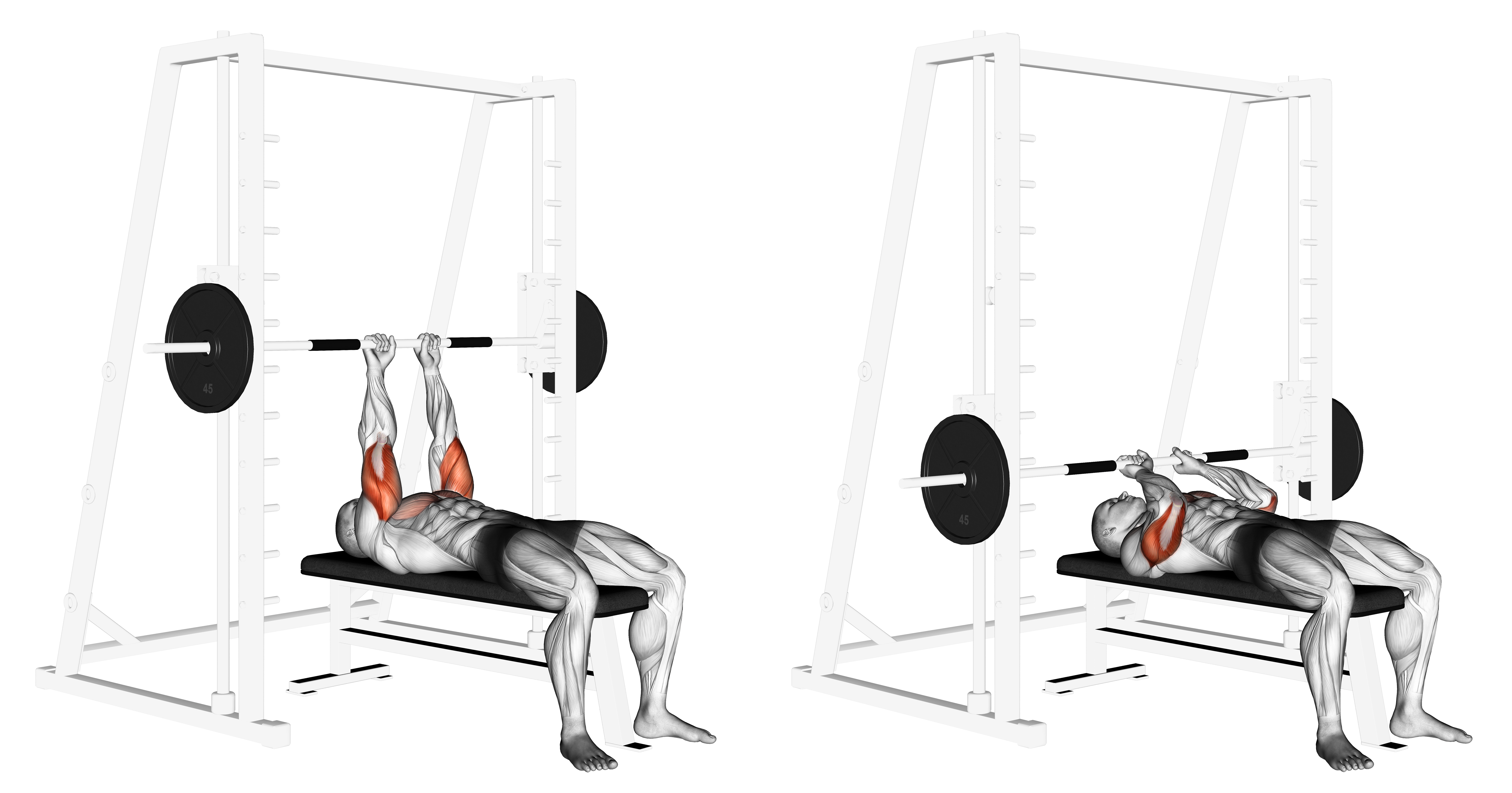 Smith Close Grip Bench Press