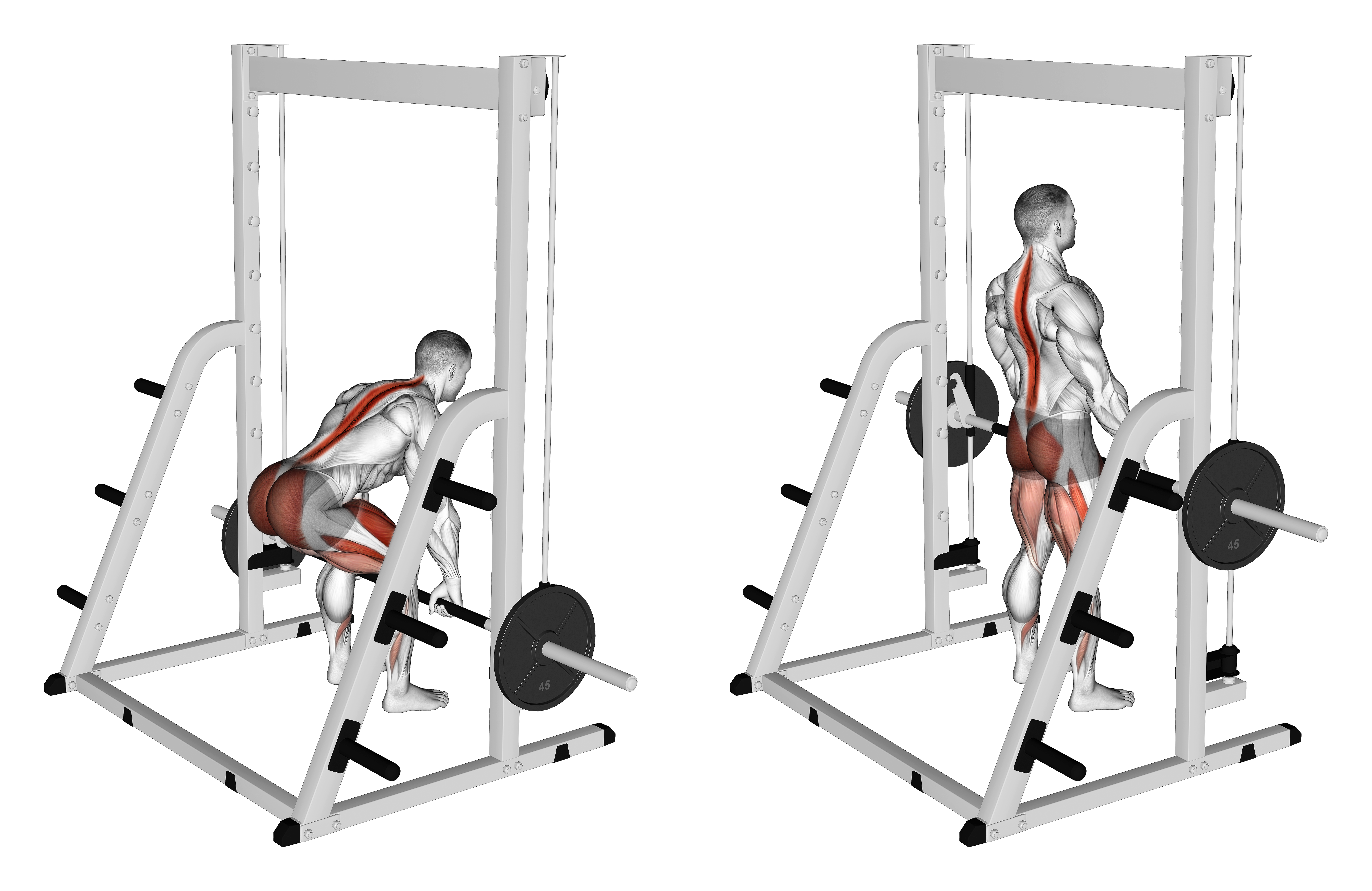 Smith Deadlift