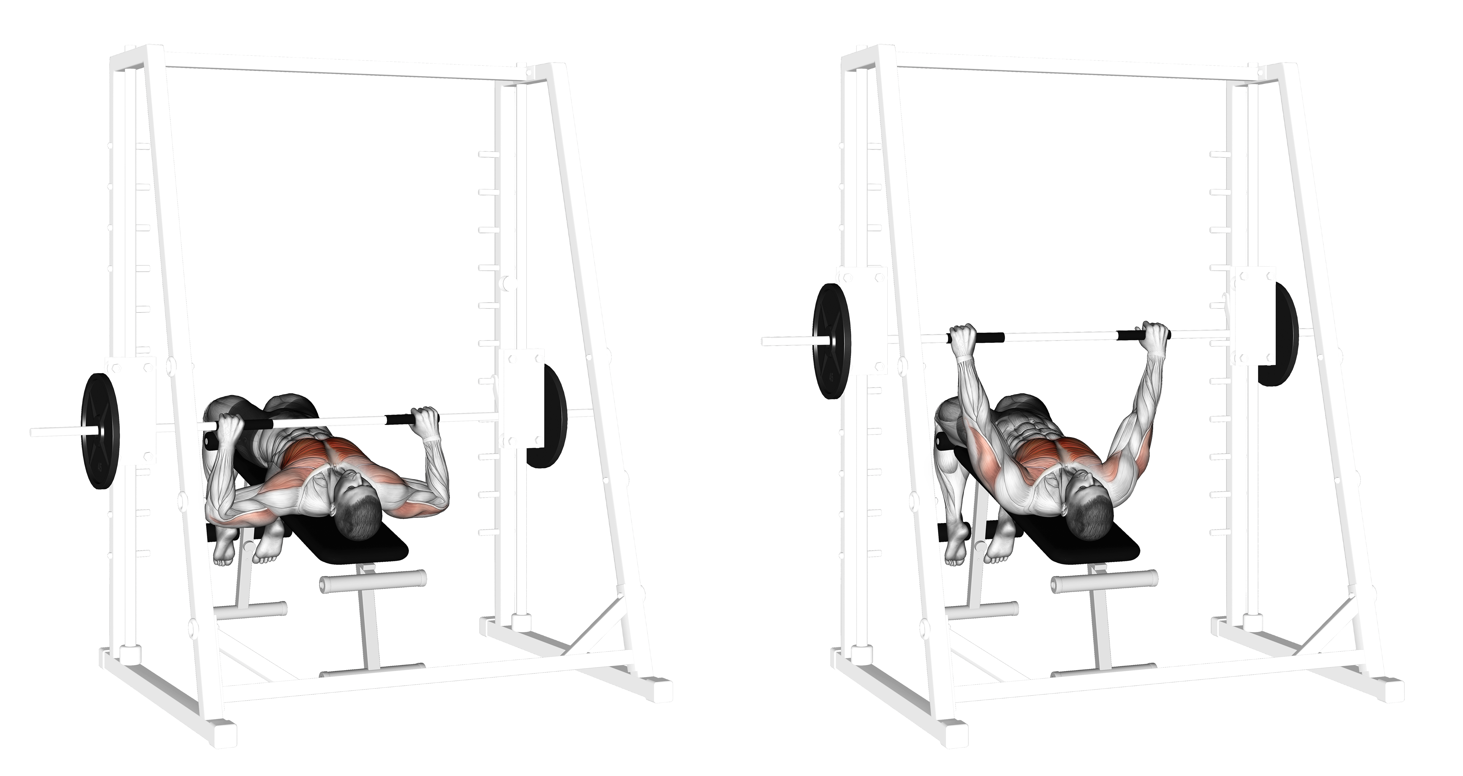 Smith Decline Bench Press