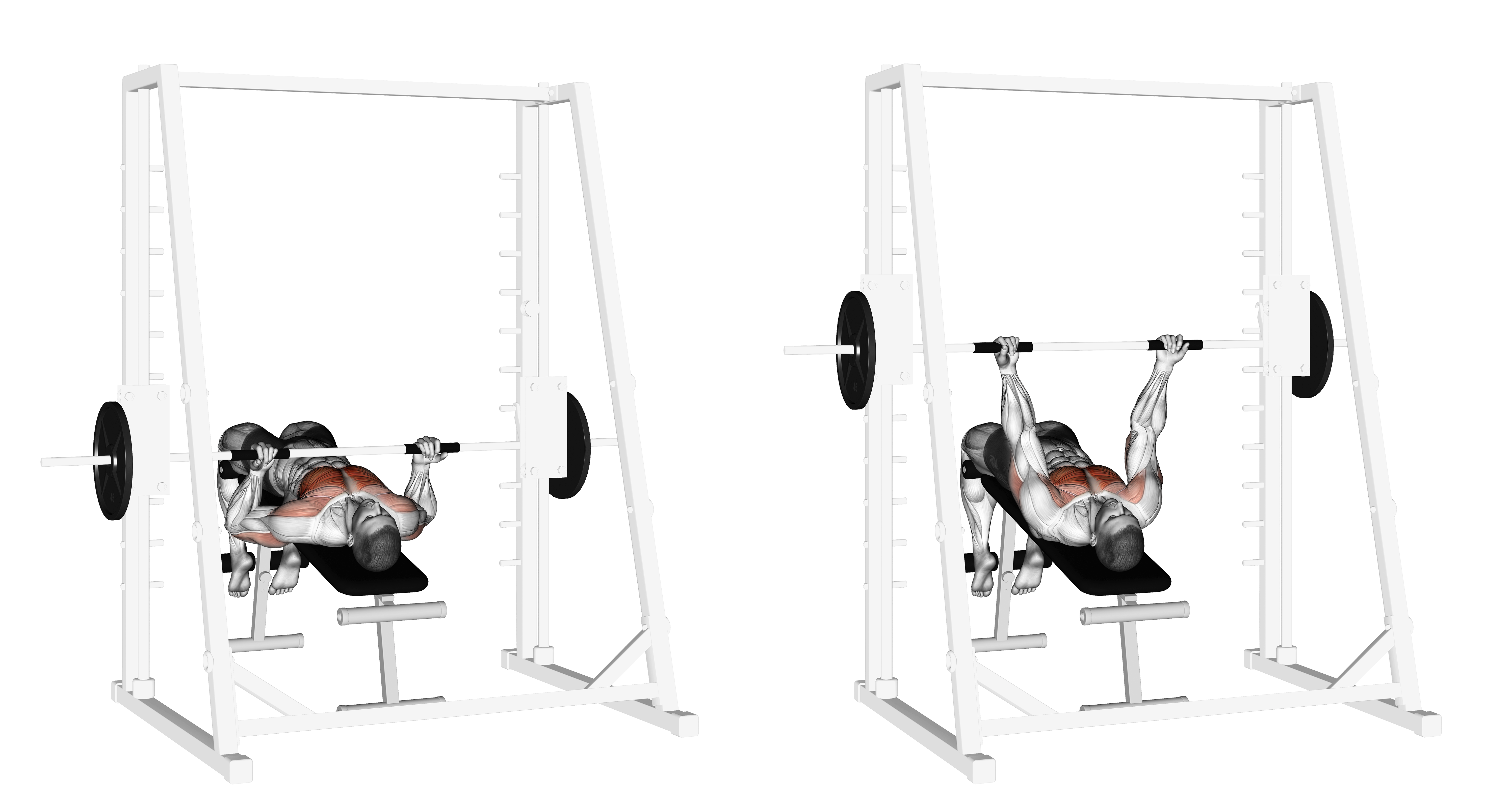 Smith Decline Reverse Grip Press
