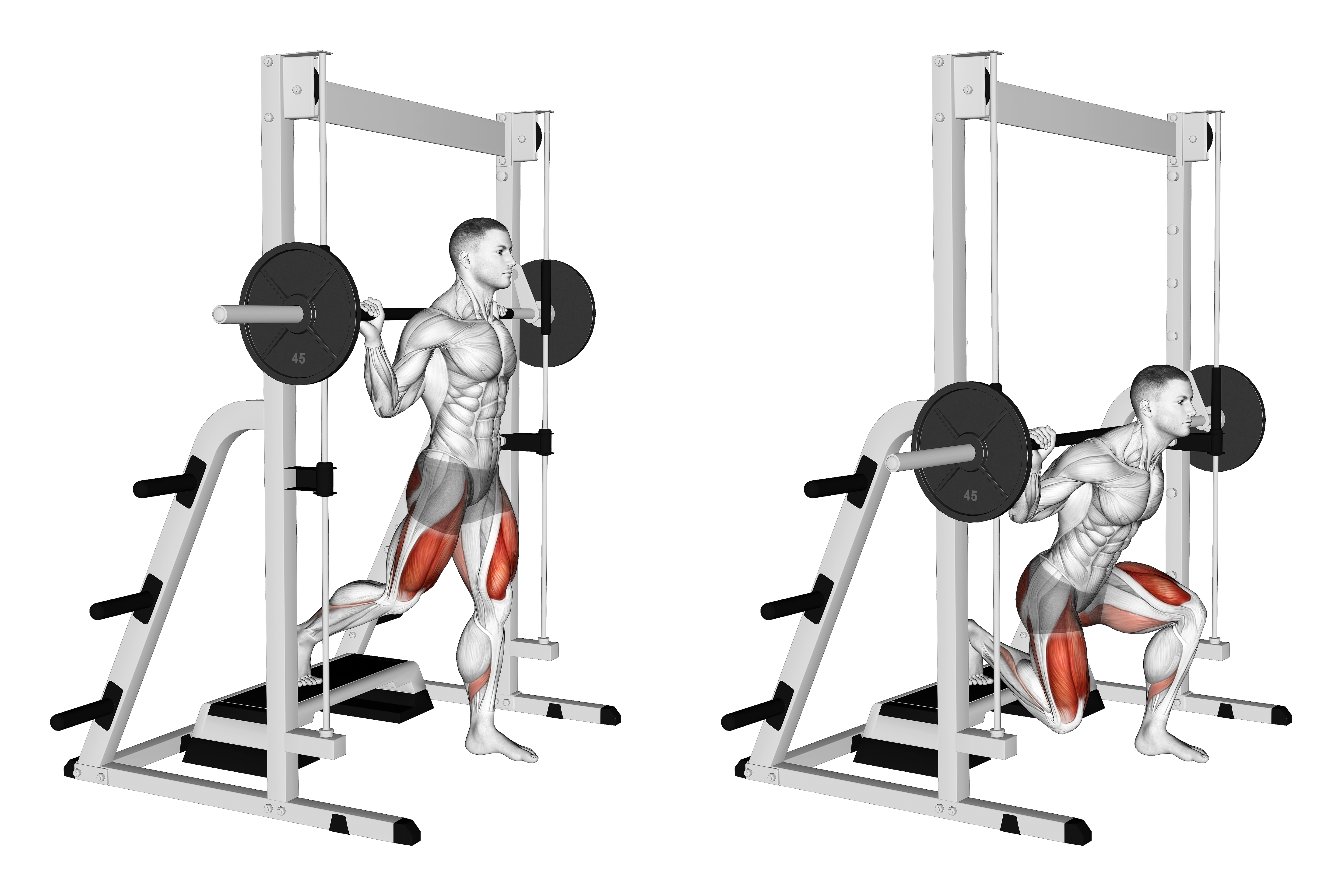 Smith Elevated Split Squat
