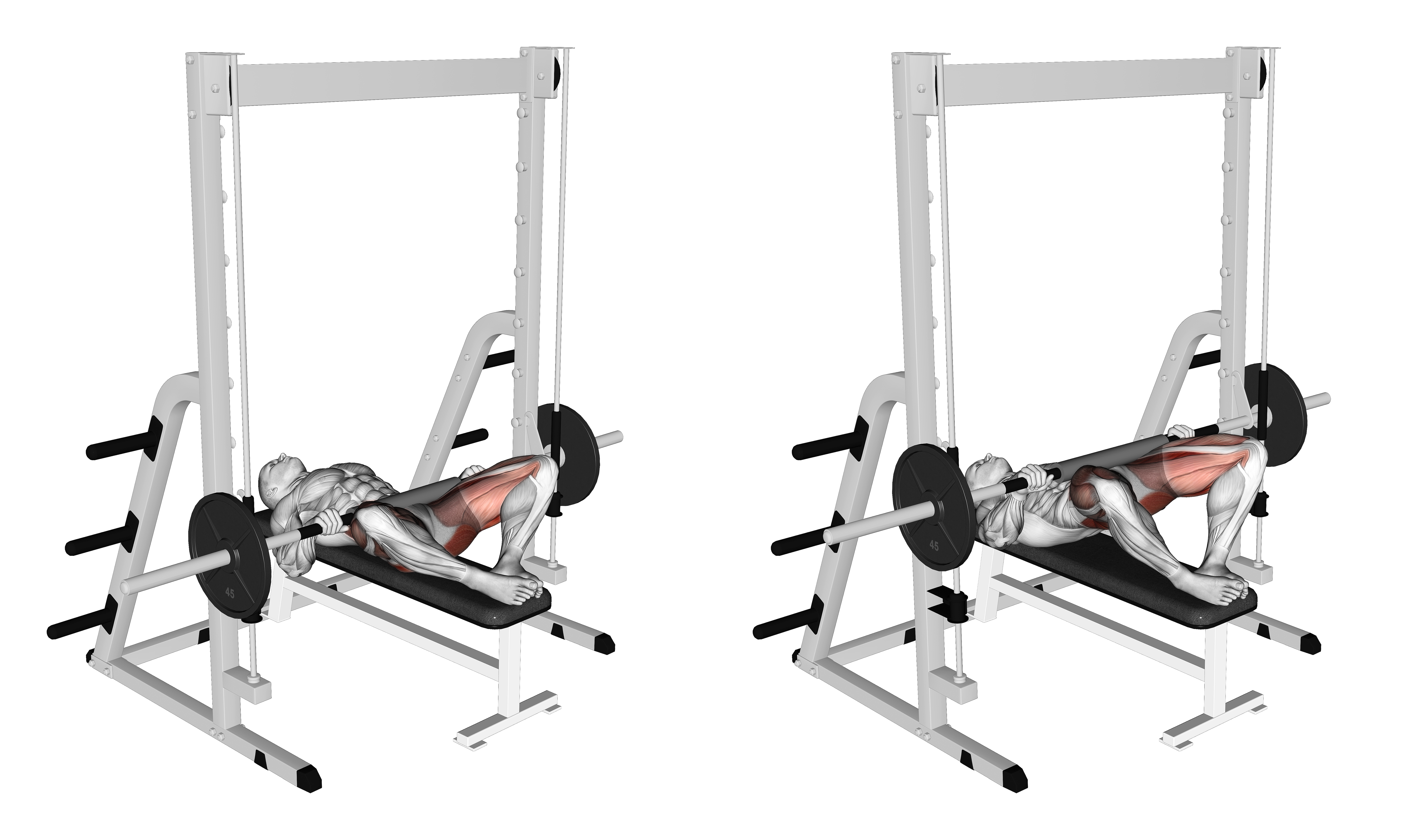 Smith Frog Hip Thrust