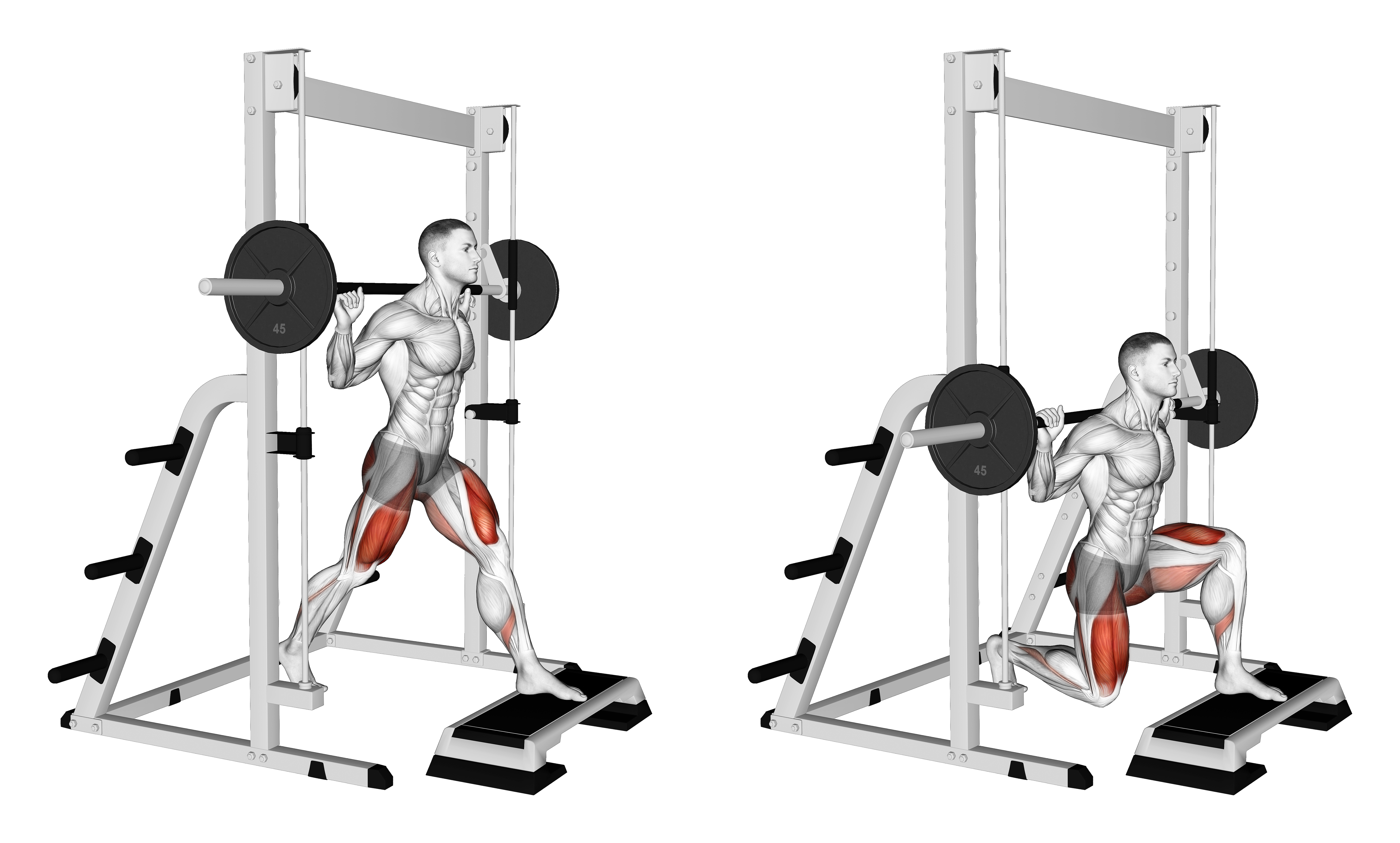 Smith Front Leg Elevated Split Squat