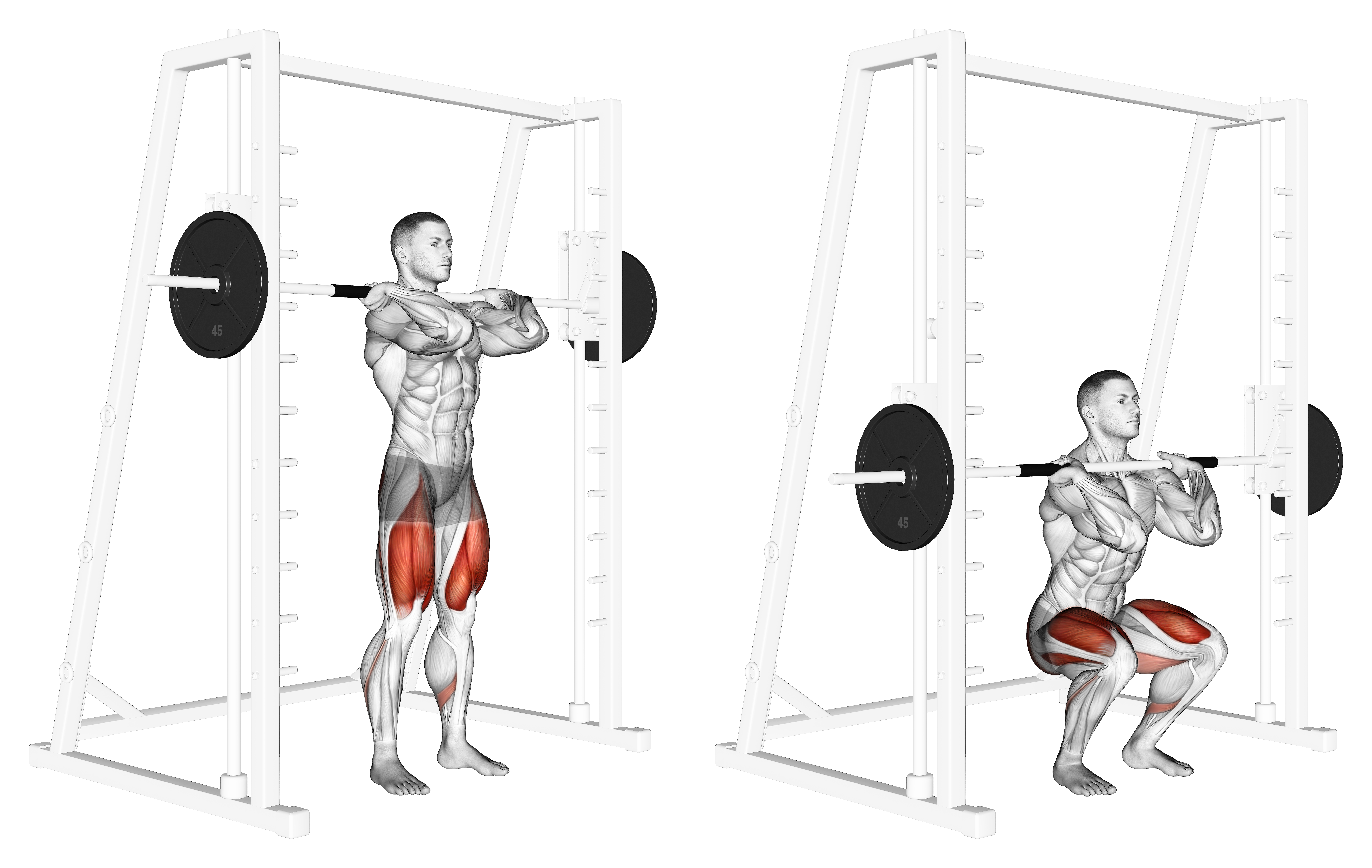 Smith Front Squat (clean Grip)