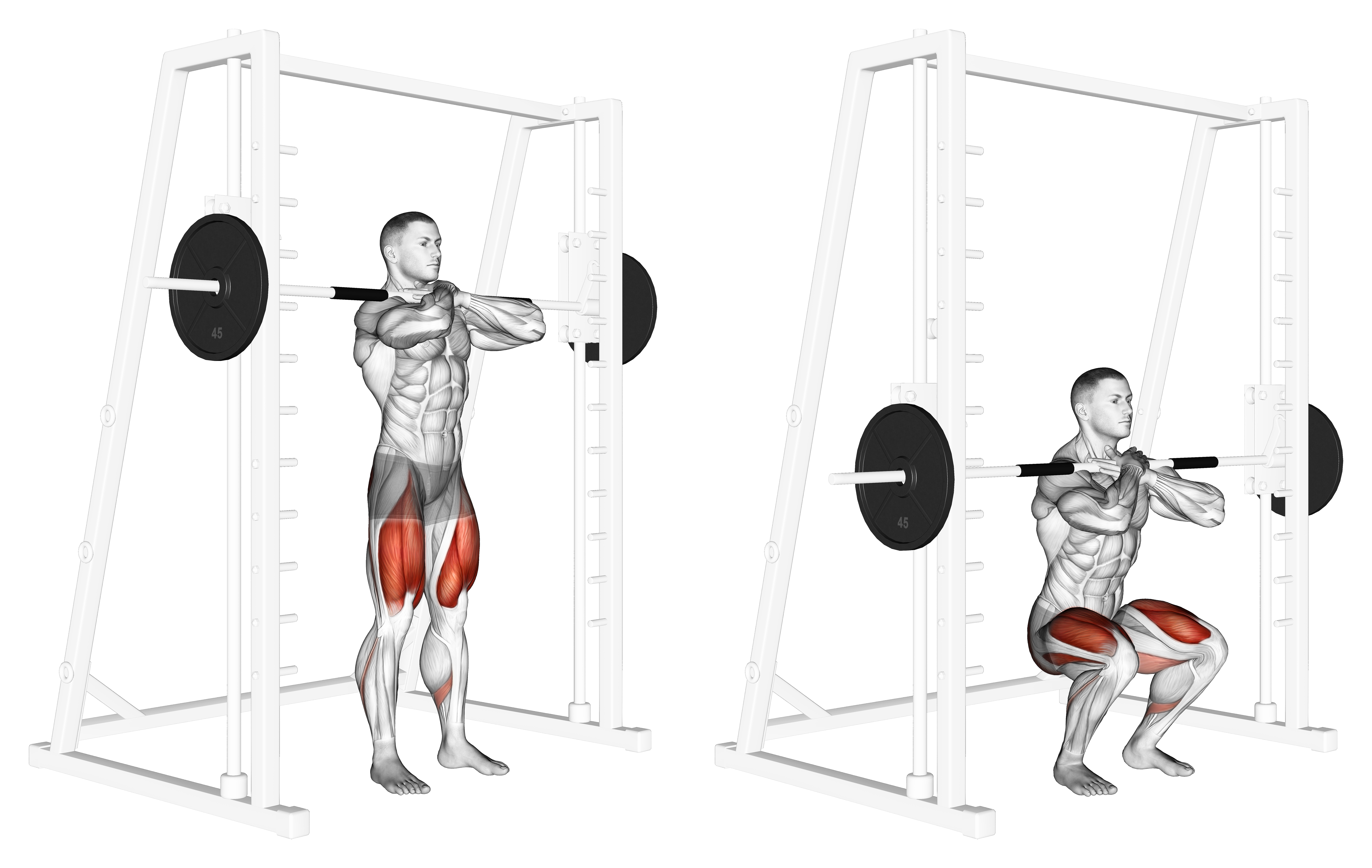 Smith Front Squat