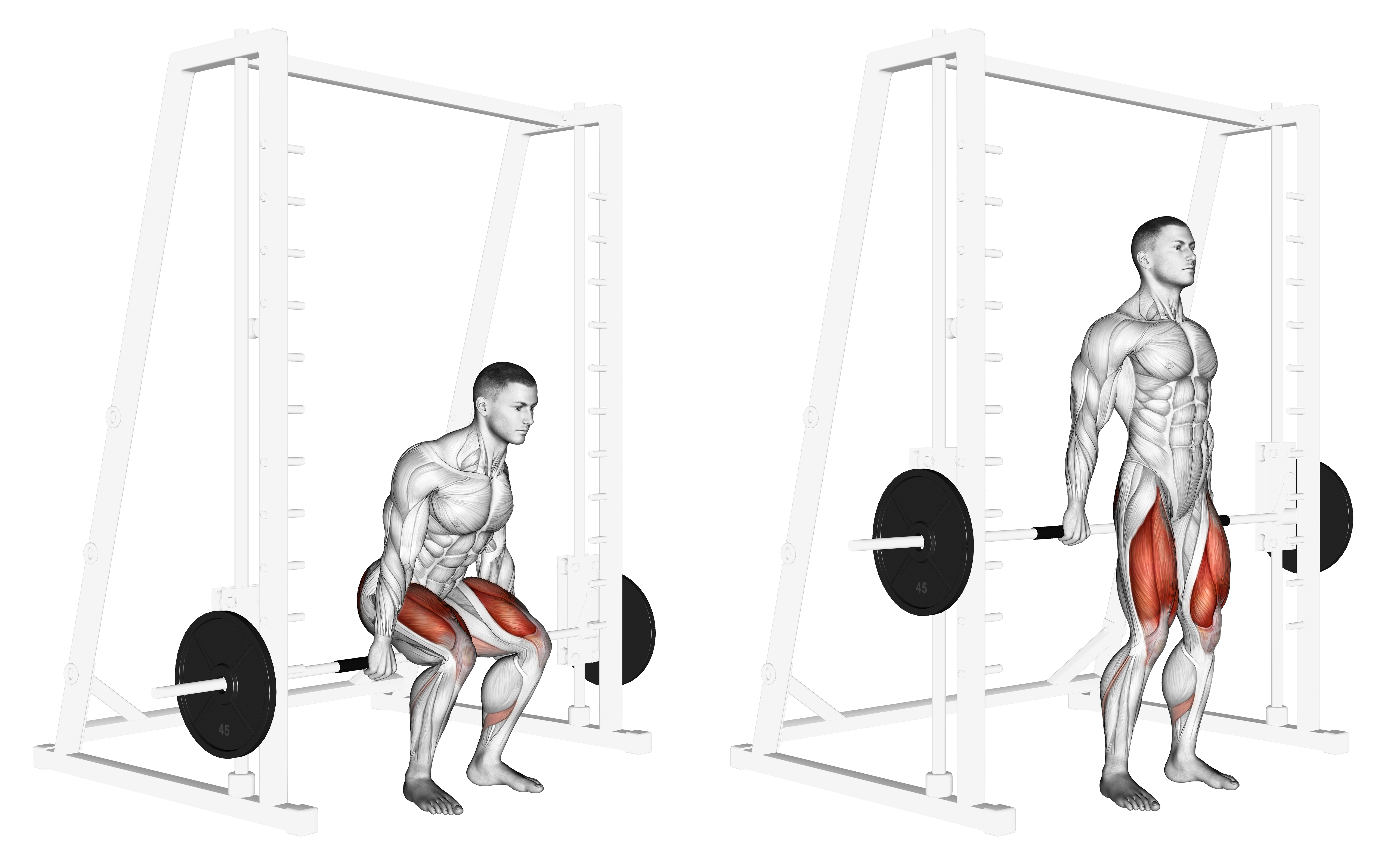 Smith Hack Squat