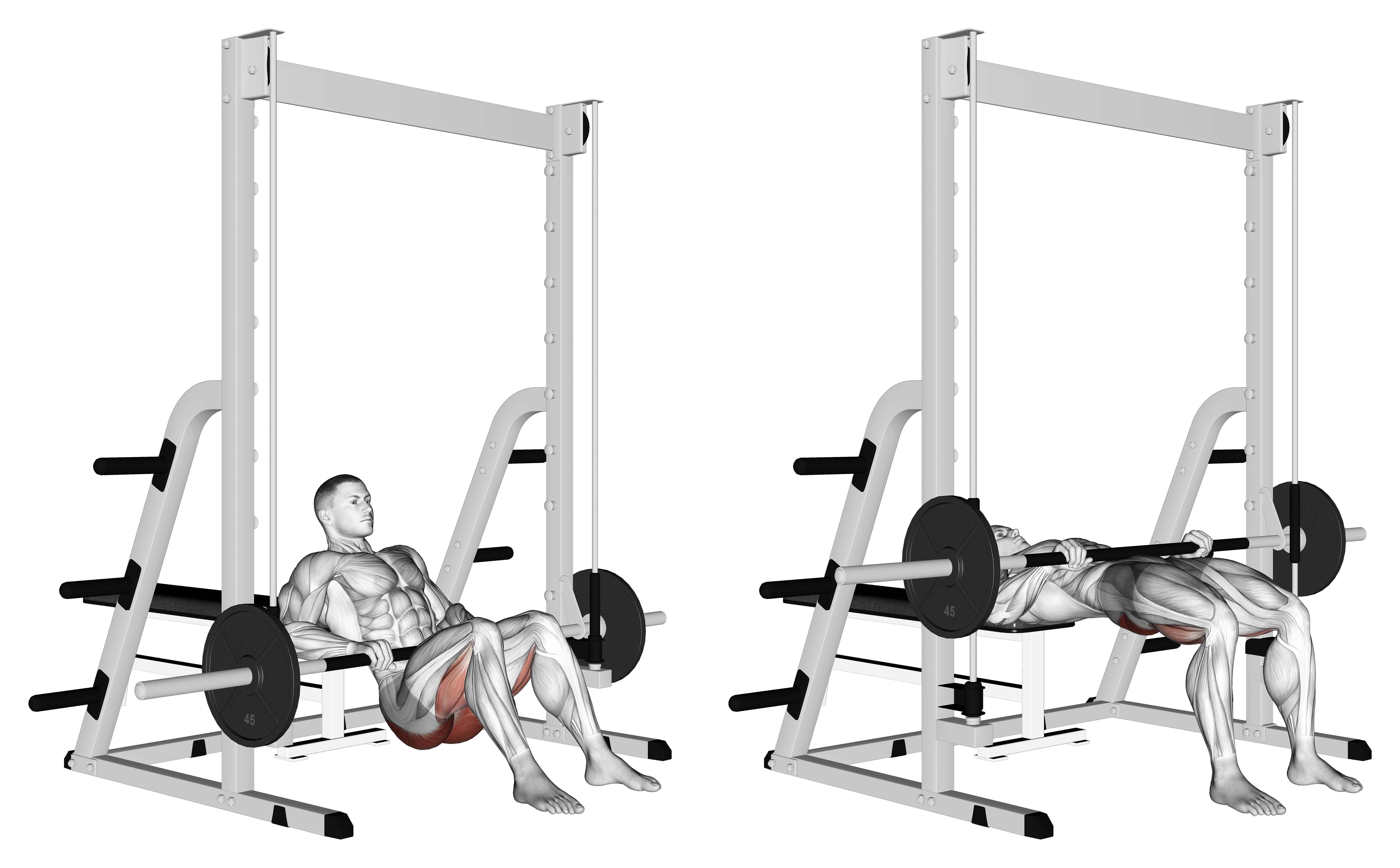 Smith Hip Thrust