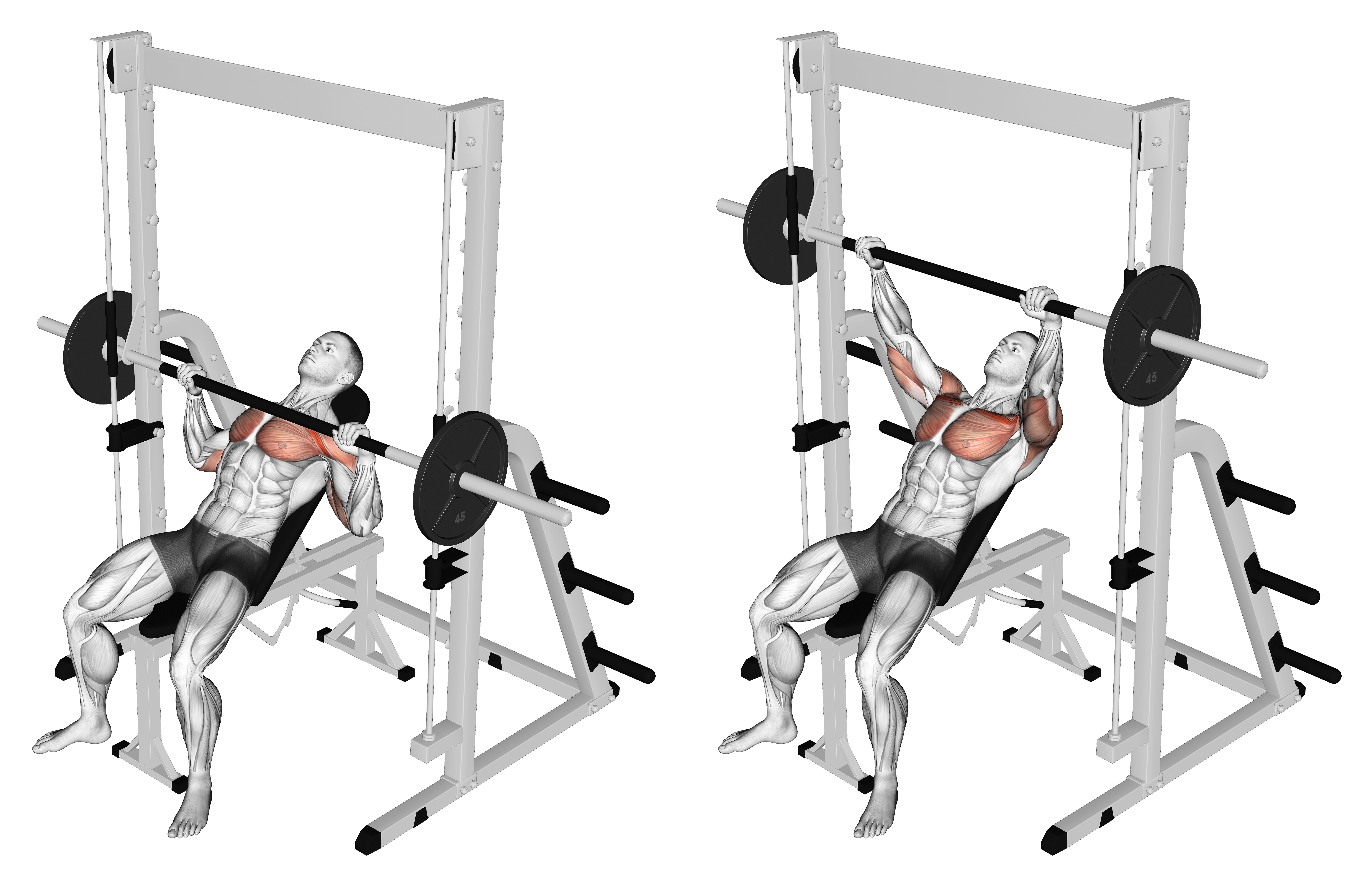 Smith Incline Bench Press