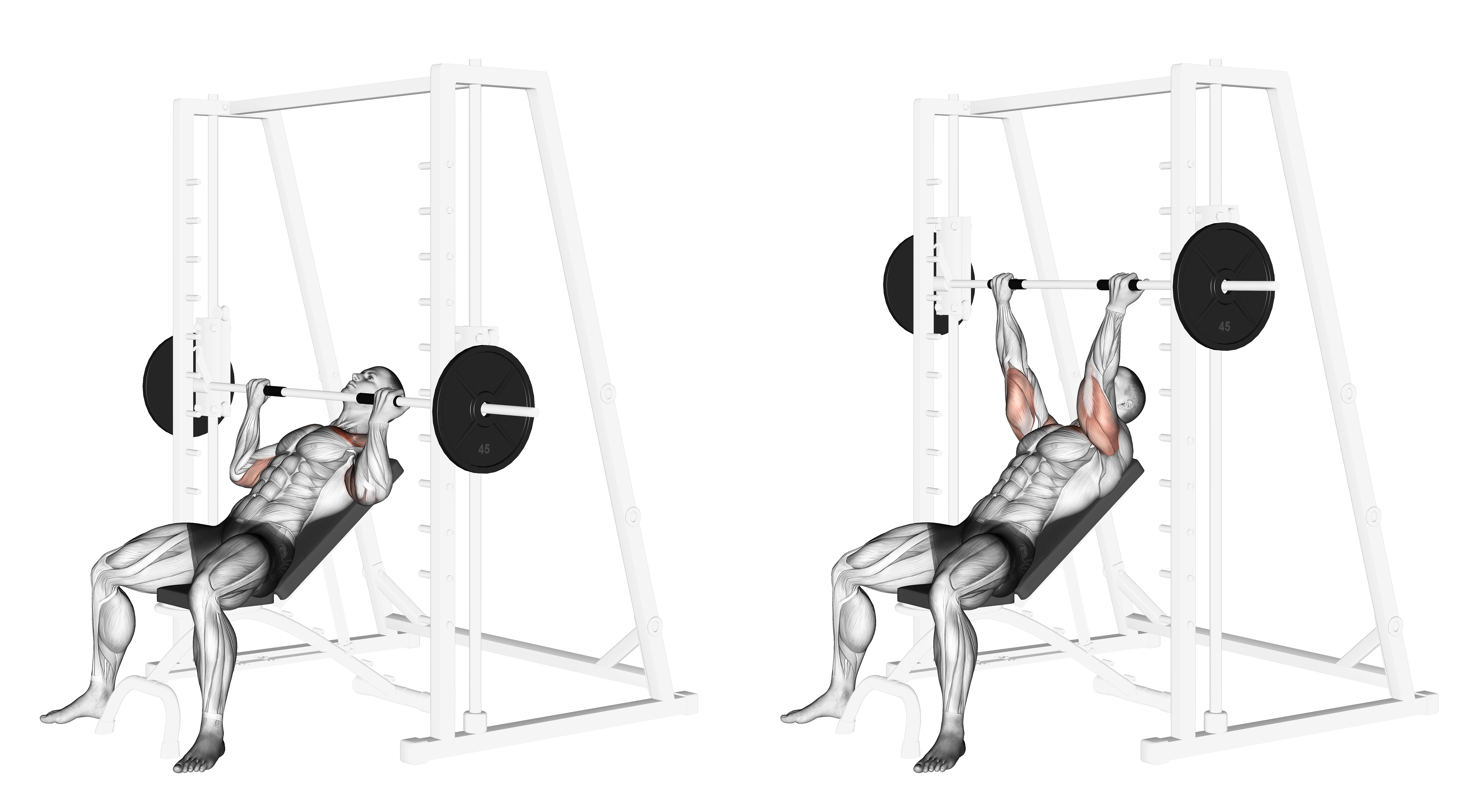 Smith Incline Reverse Grip Press