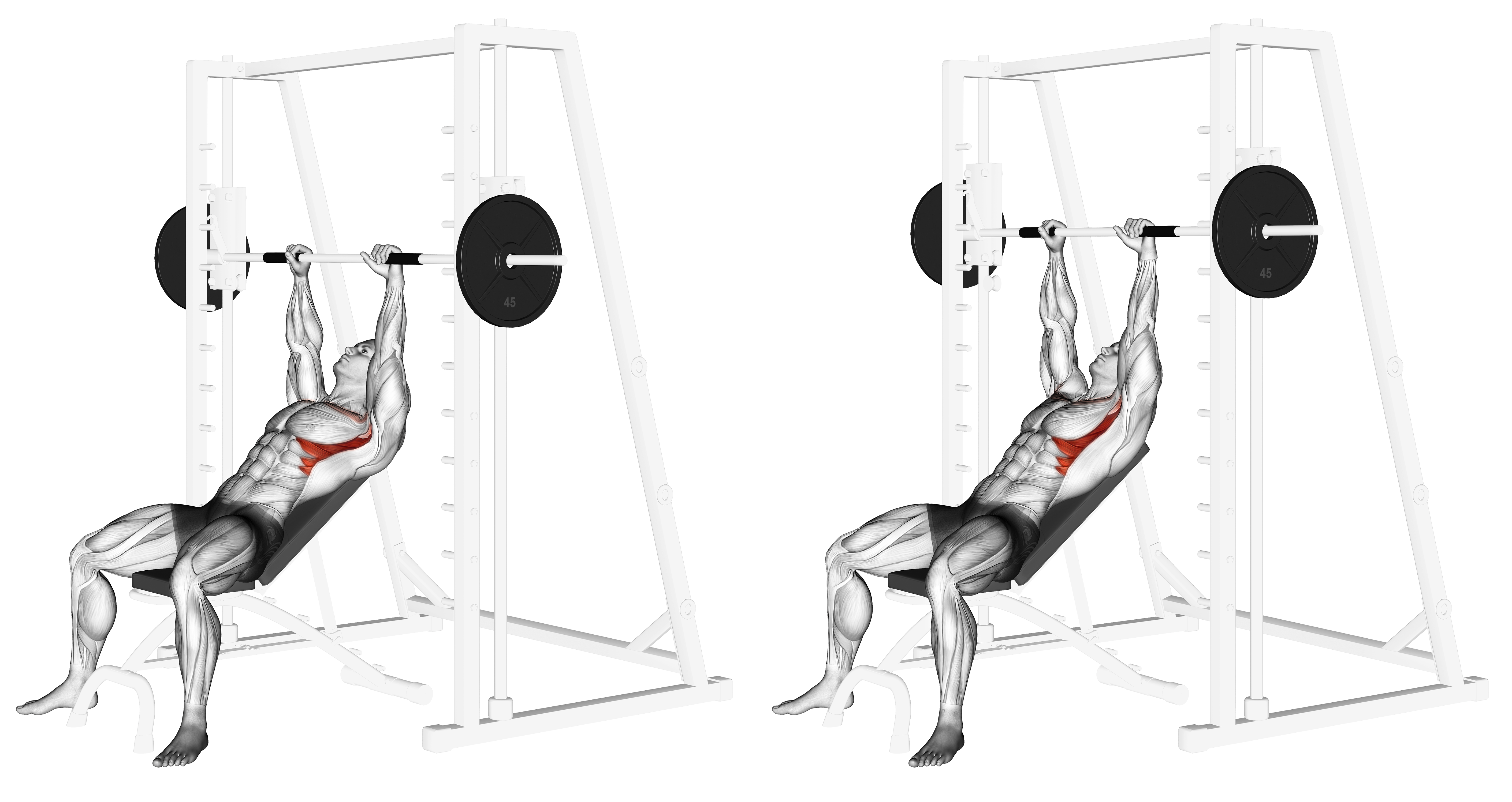 Smith Incline Shoulder Raises